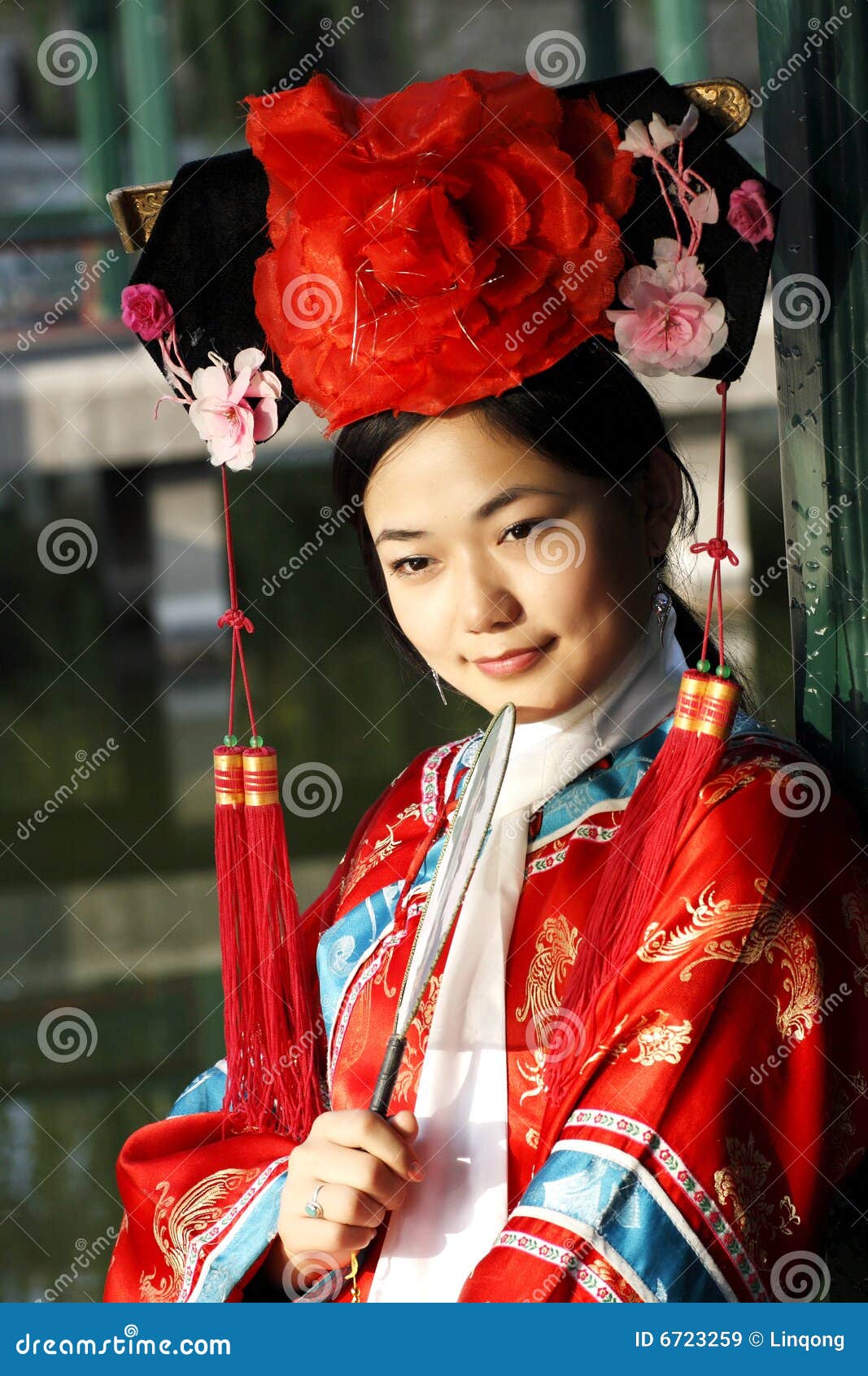 Classical beauty in China. stock image. Image of botanical - 6723259