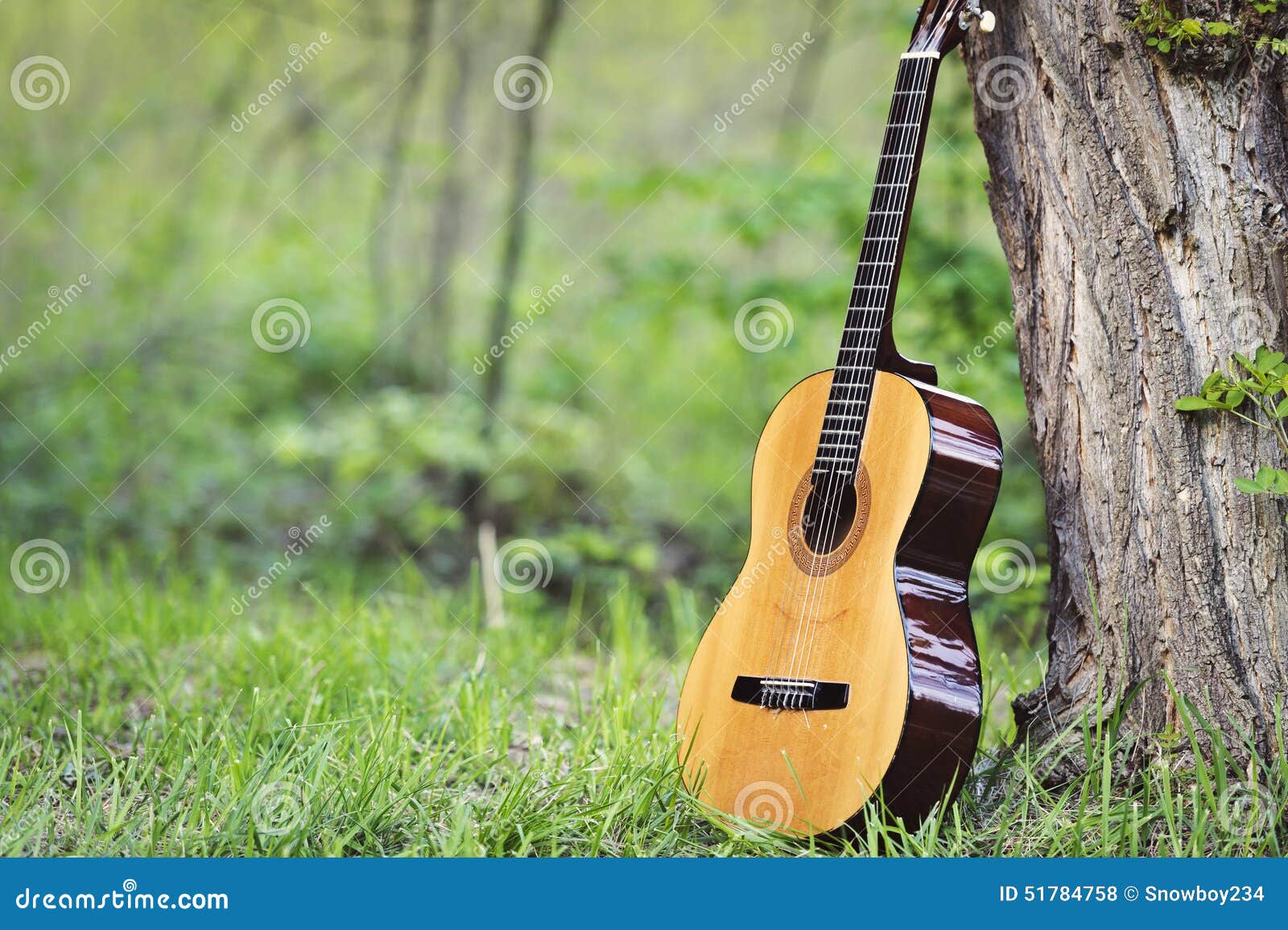 Classical guitar in park stock photo. Image of play, nature 51784758