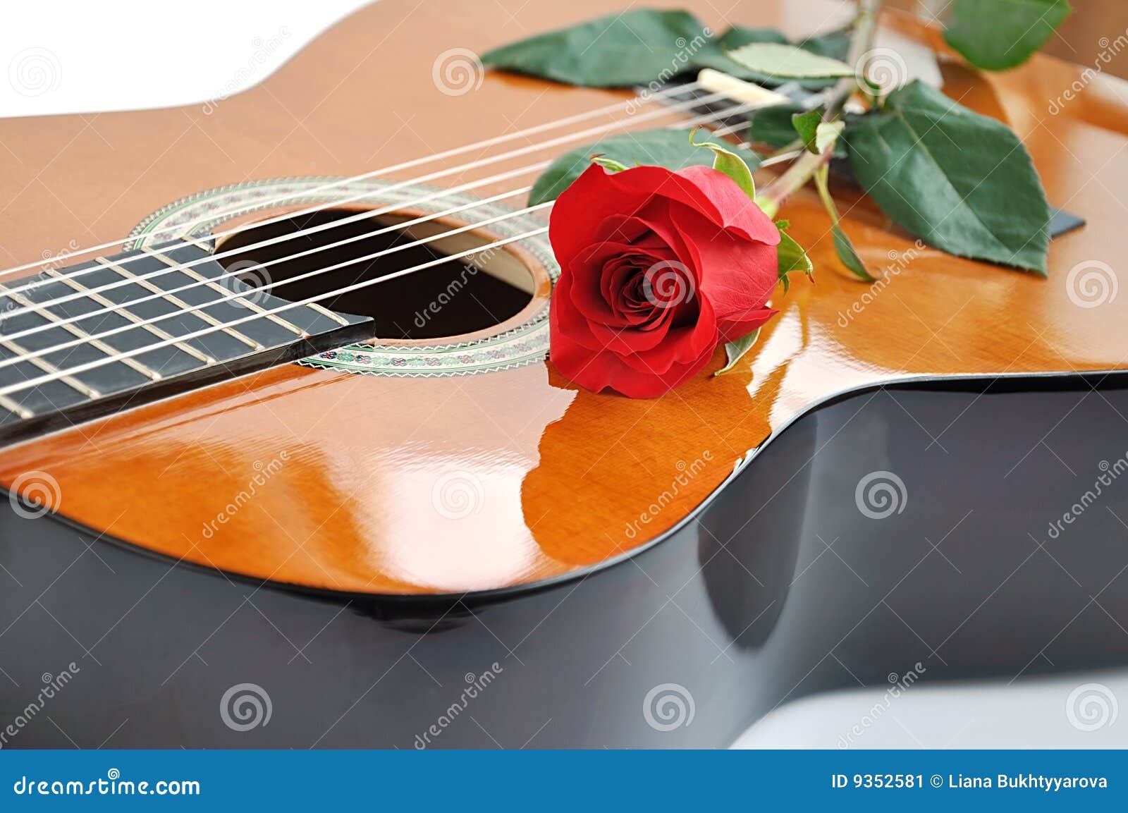 Classical guitar and rose. stock image. Image of thorn 9352581