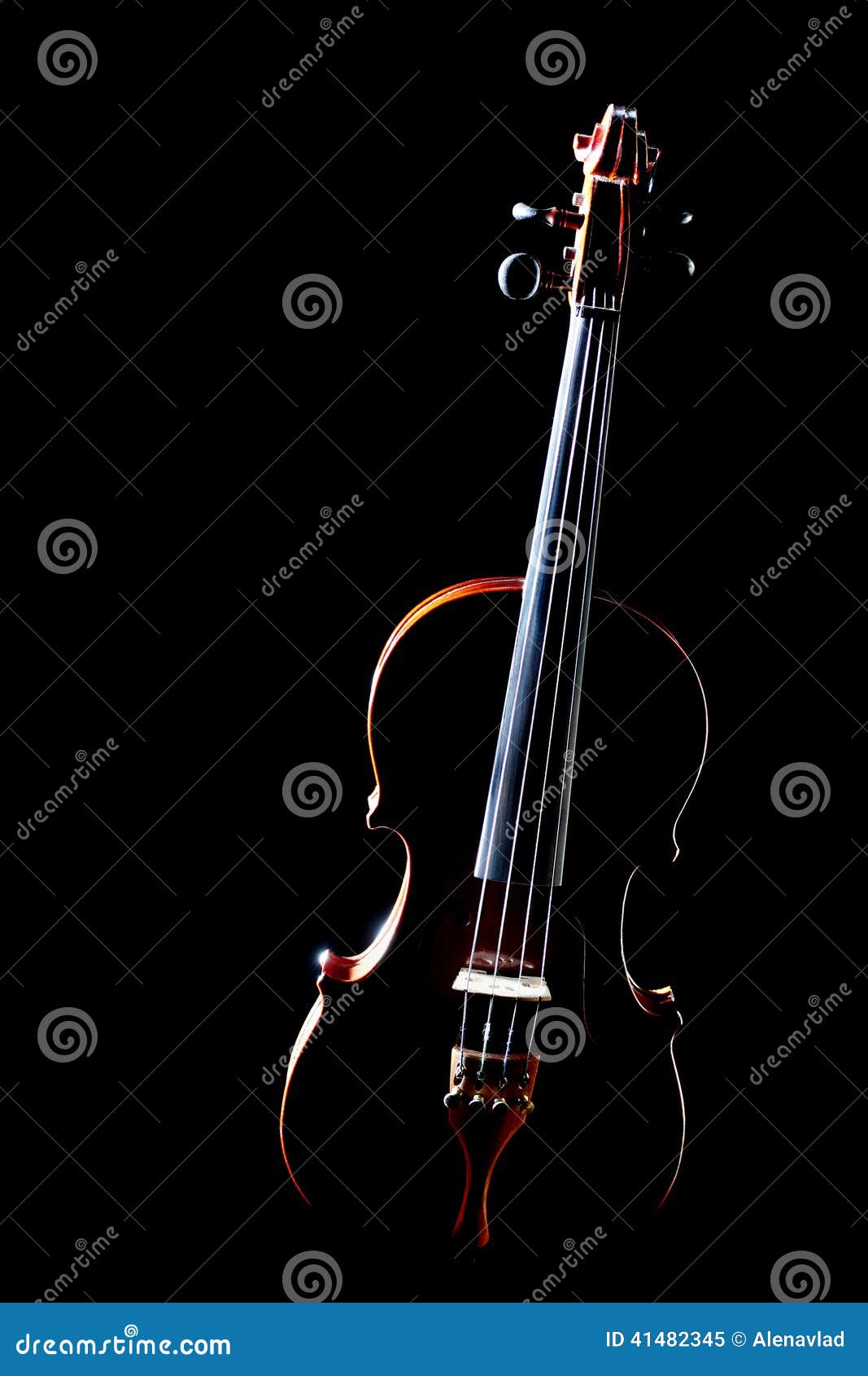 Classical Music Violin Isolated Stock Image Image of player, playing