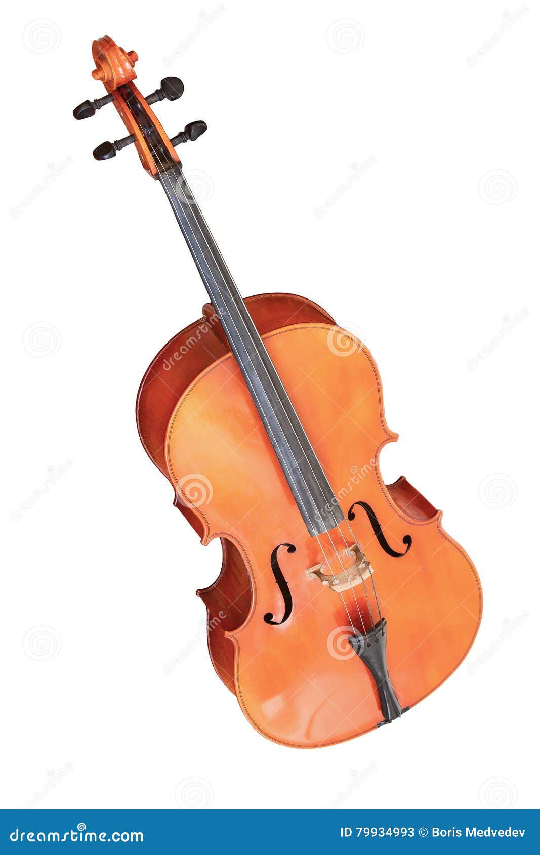 Classical Musical Instrument Cello Isolated On White Background Stock Image Image of isolated