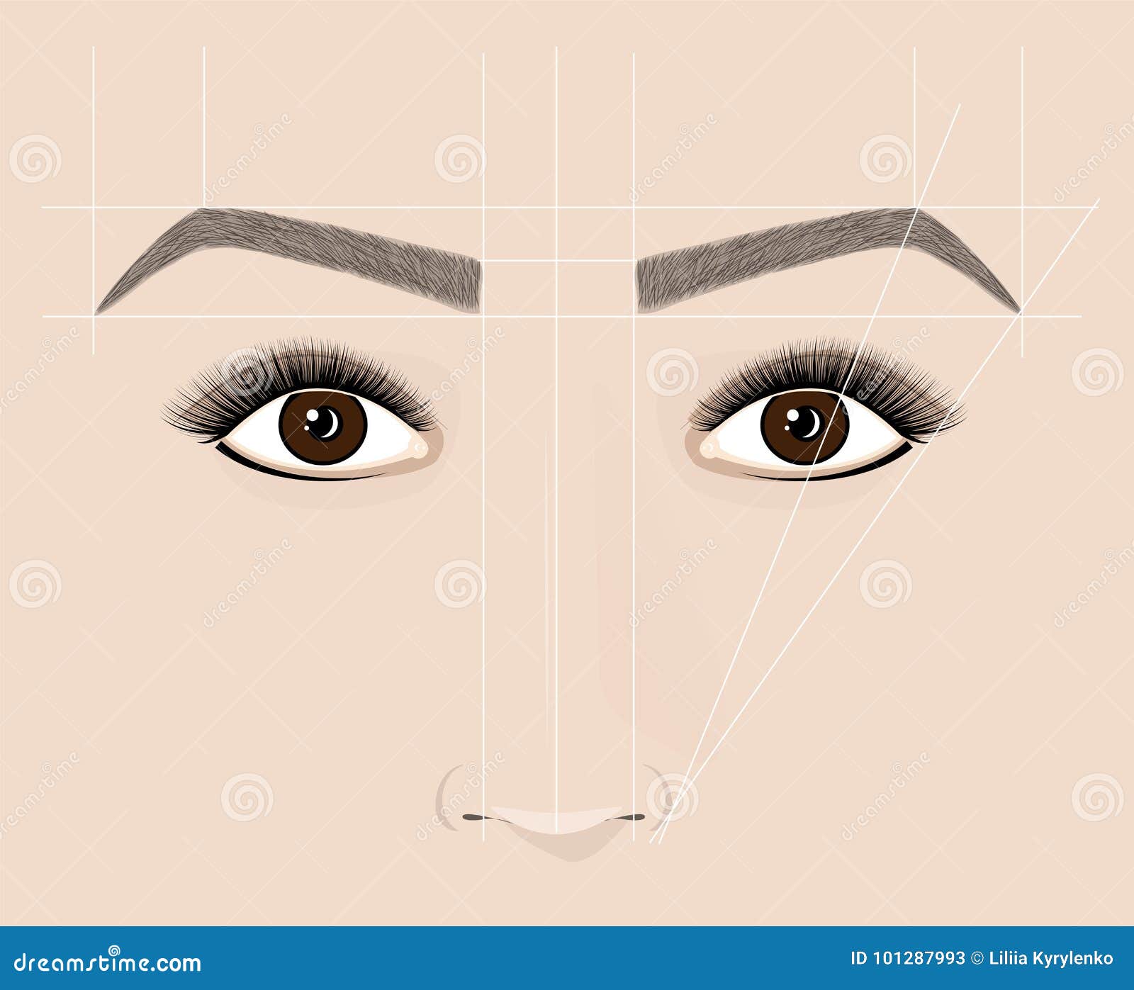 Classical Shape of Eyebrows. Microblaining and Permanent Makeup. the