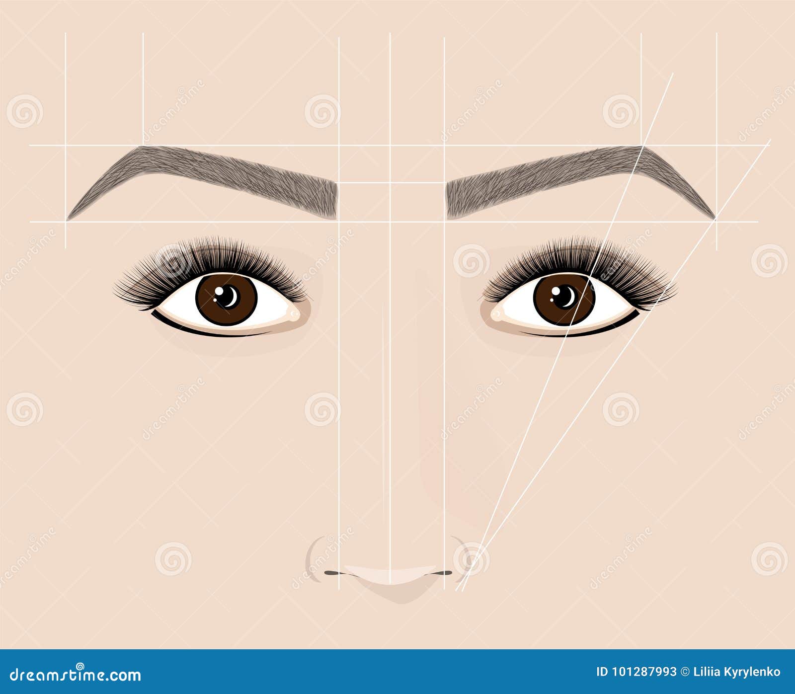 classical  of eyebrows. microblaining and permanent make-up. the scheme of the correct construction.