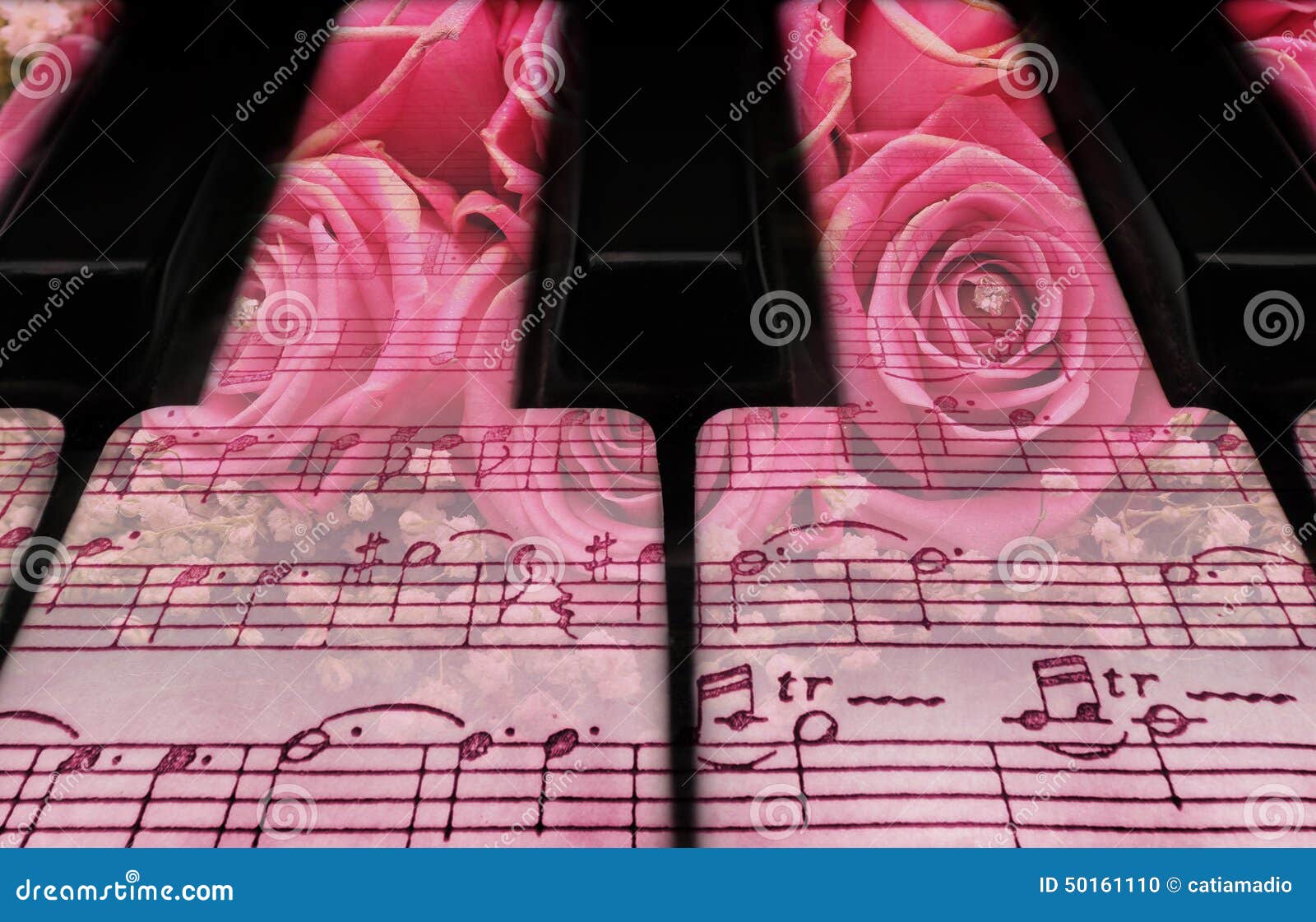 Claves y rosas del piano foto de archivo. Imagen de amor 50161110