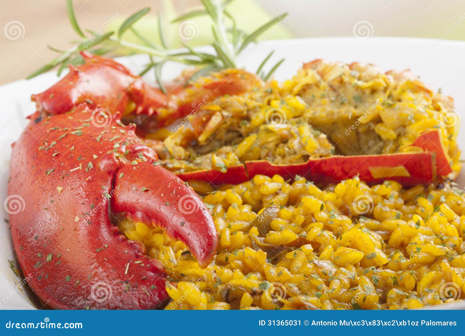 Clawed Lobster with Yellow Rice Stock Image Image of spanish, seafood