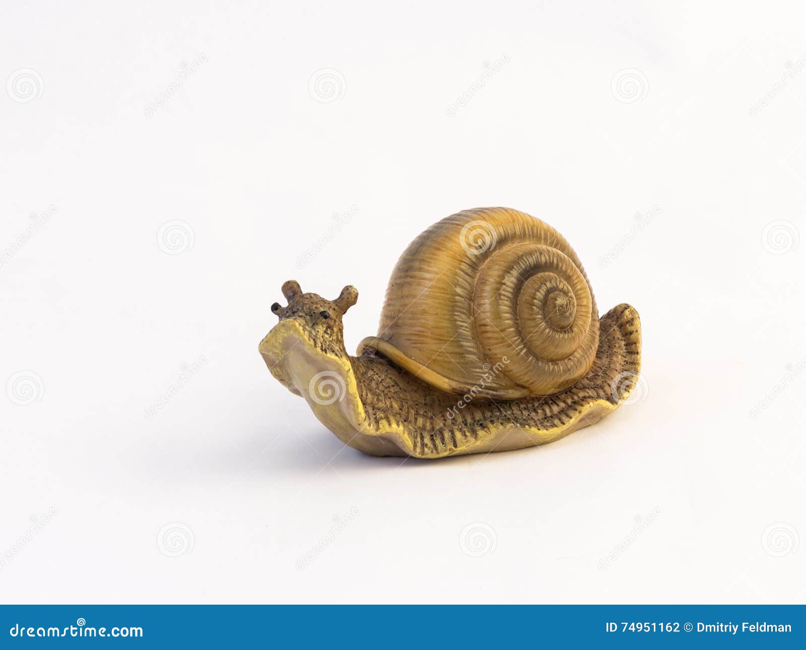 Crawling Snail On Night Wet Stone Pedestrian Road RoyaltyFree Stock
