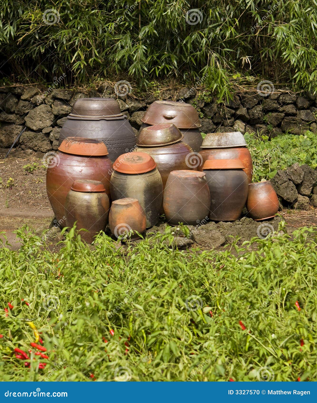 Clay Kimchi Pots stock photo. Image of korean, traditional 3327570