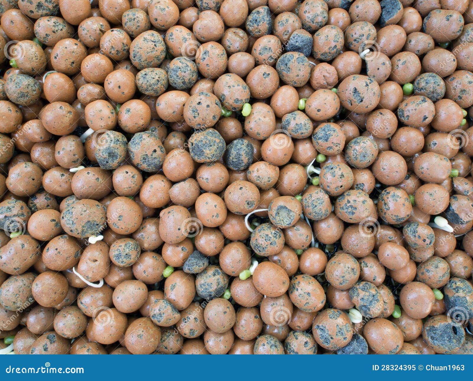 Clay Pebbles stock image. Image of growthmedia, shoot 28324395
