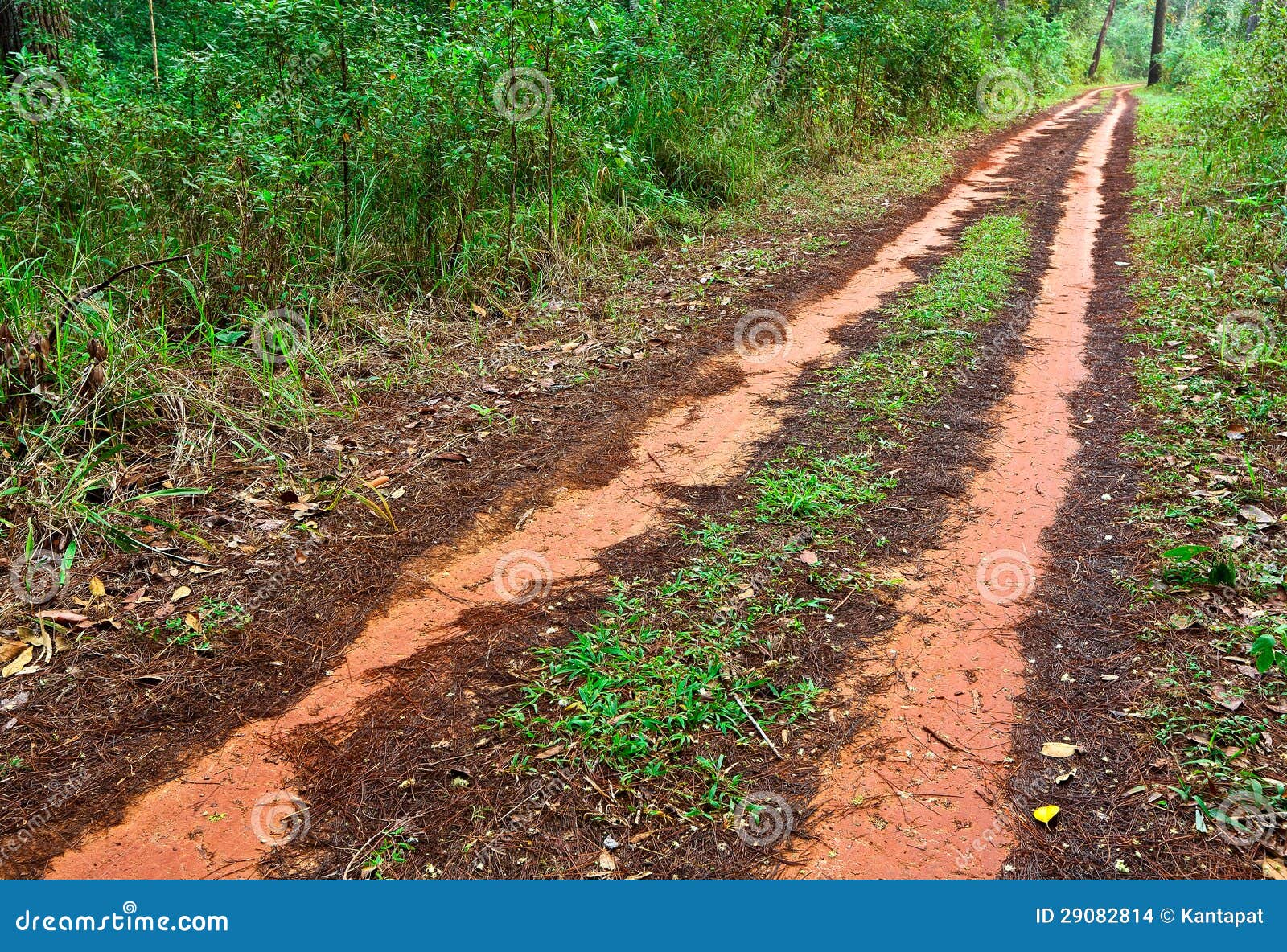 Clay road stock photo. Image of environment, brown, northern 29082814