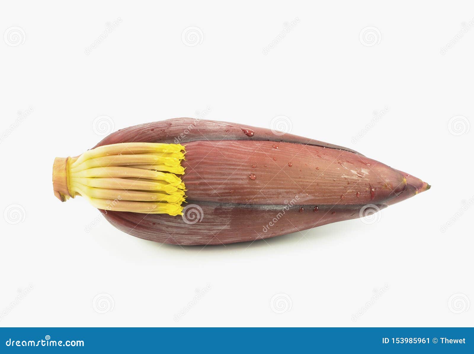 Clean banana blossom stock image. Image of banana, ingredient 153985961