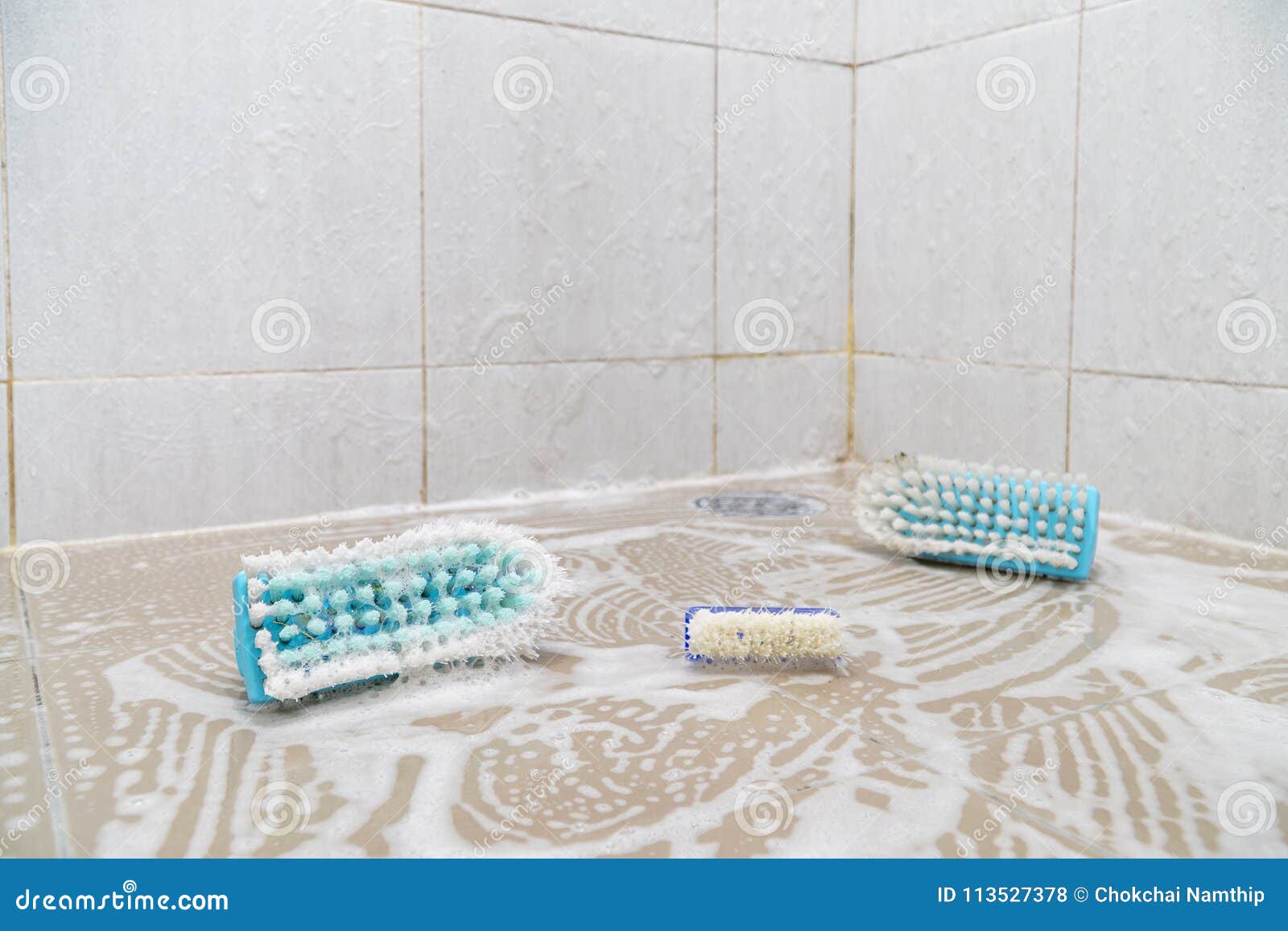 Clean the Bathroom with Brush and Sponge Stock Photo Image of modern
