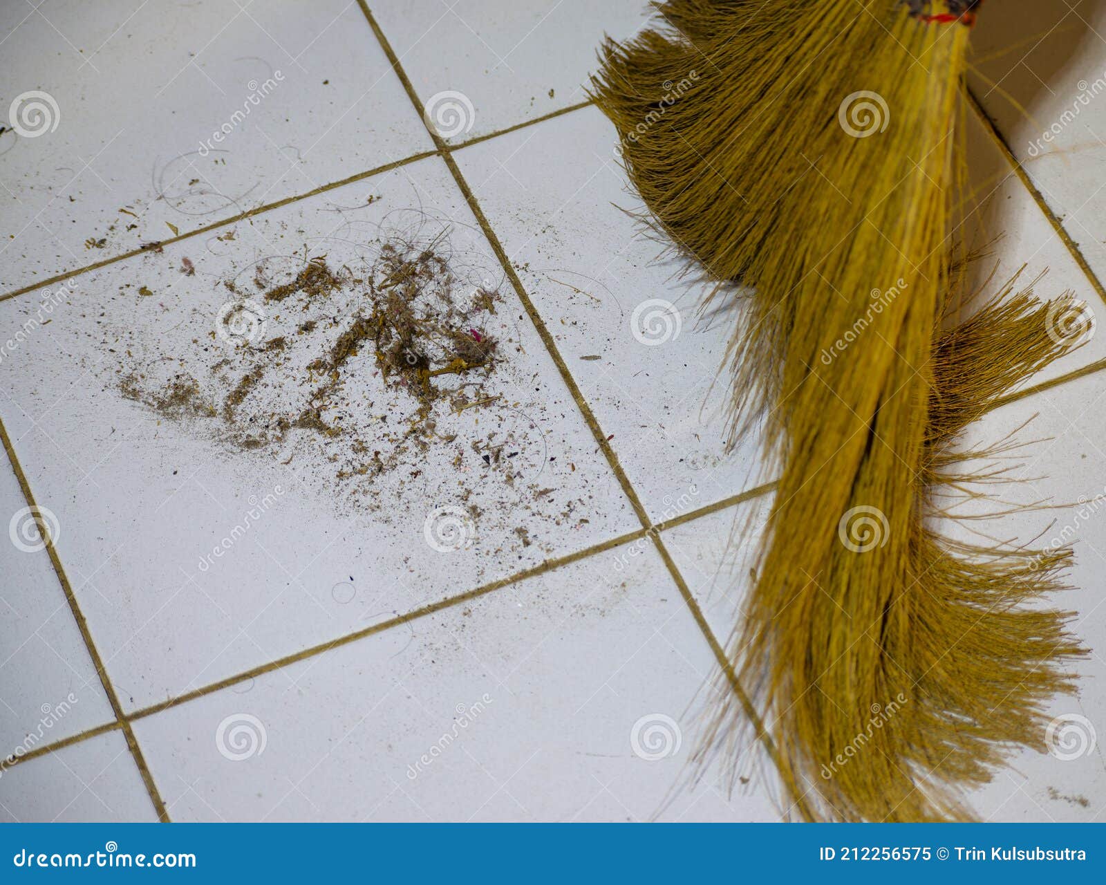 Clean the Dust and Hair Debris in the House. Stock Image - Image of dirty,  debris: 212256575