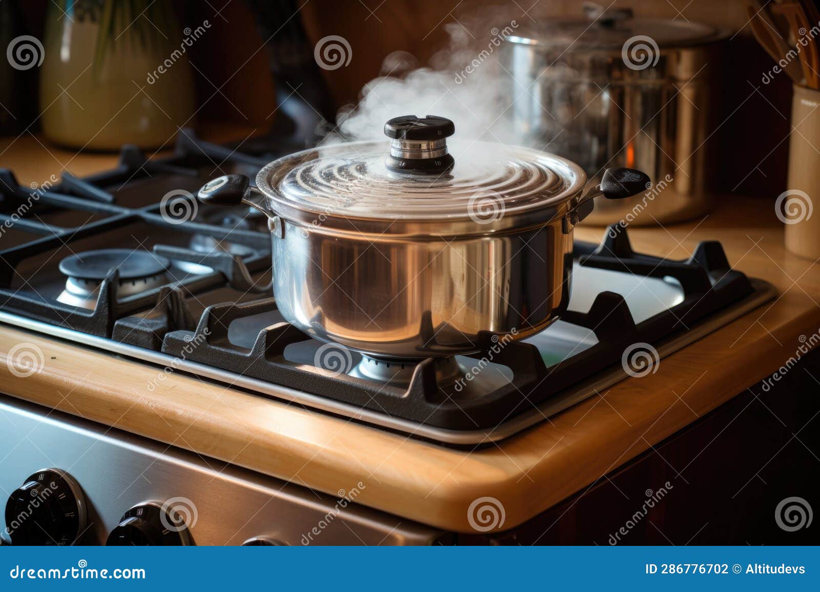 Clean, Empty Pressure Cooker on Stovetop Stock Photo Image of kitchen