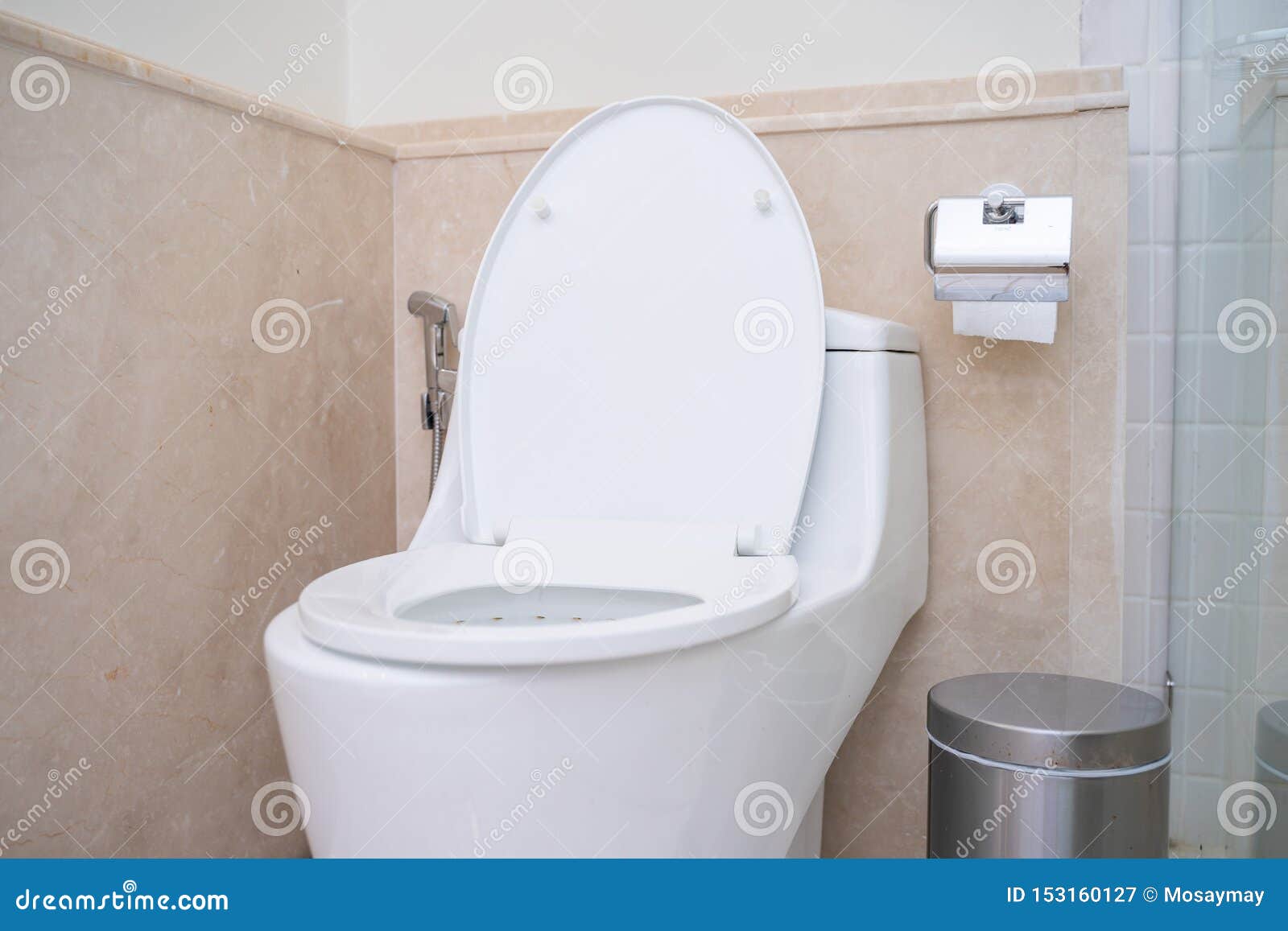 Clean Flush Toilet in Bathroom Stock Image Image of sanitary, home