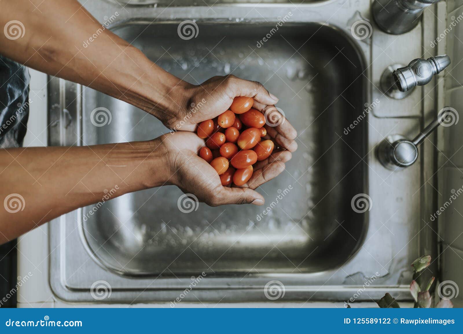 Clean Fresh Tomatoes in the Morning Stock Photo Image of clean