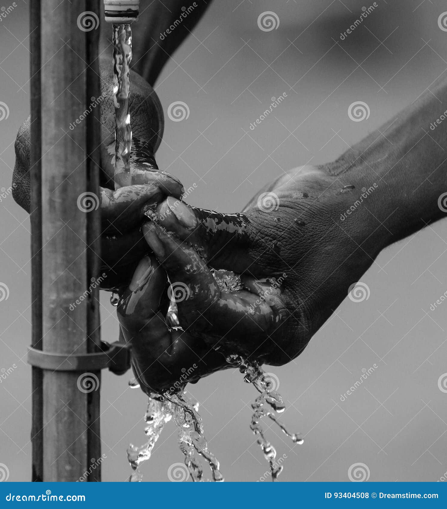 Clean Hands stock photo. Image of needed, surveying, national 93404508