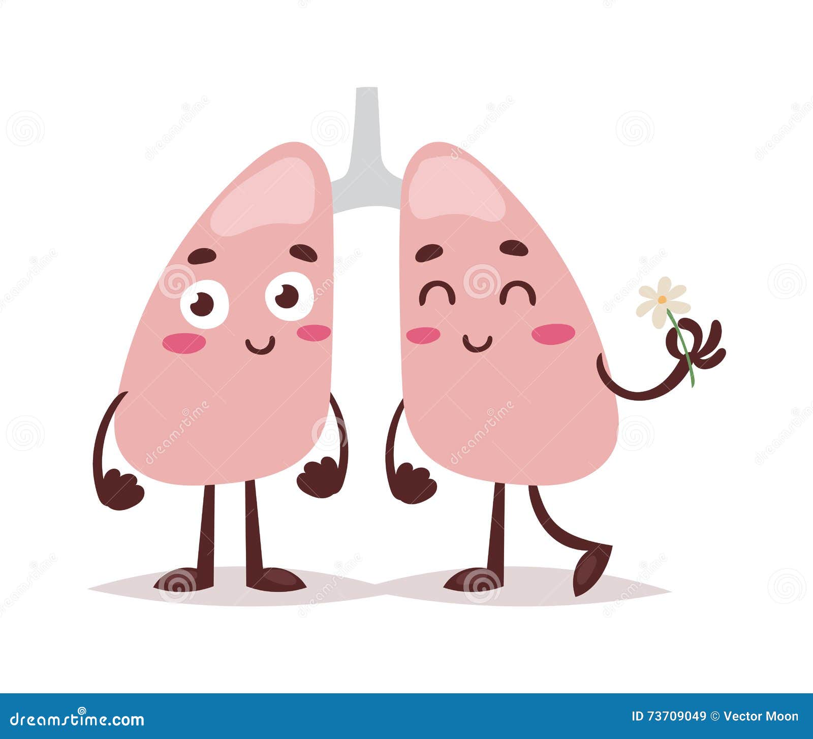 clipart human lungs - photo #38