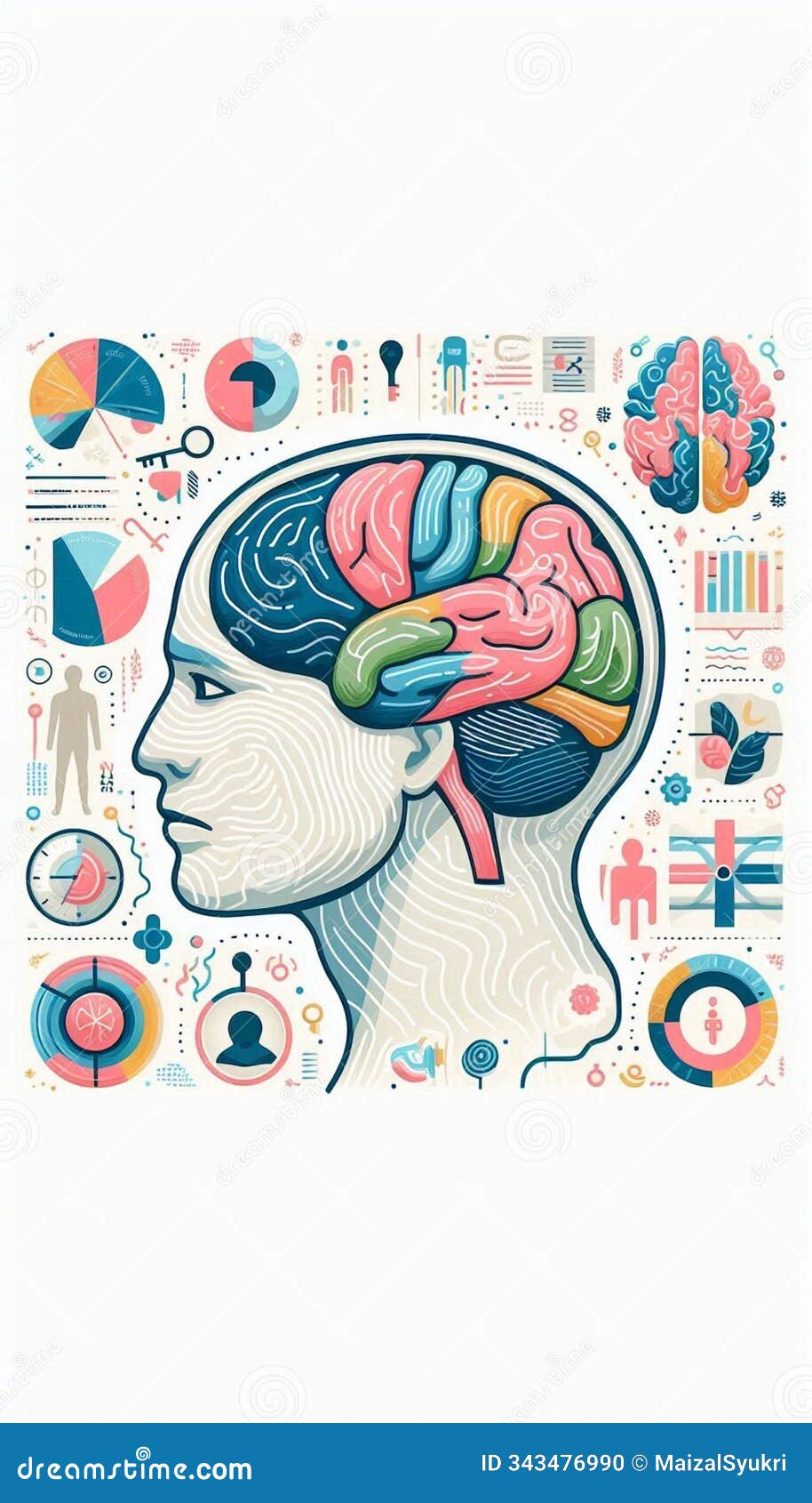 the brain: functional areas in minimalist 