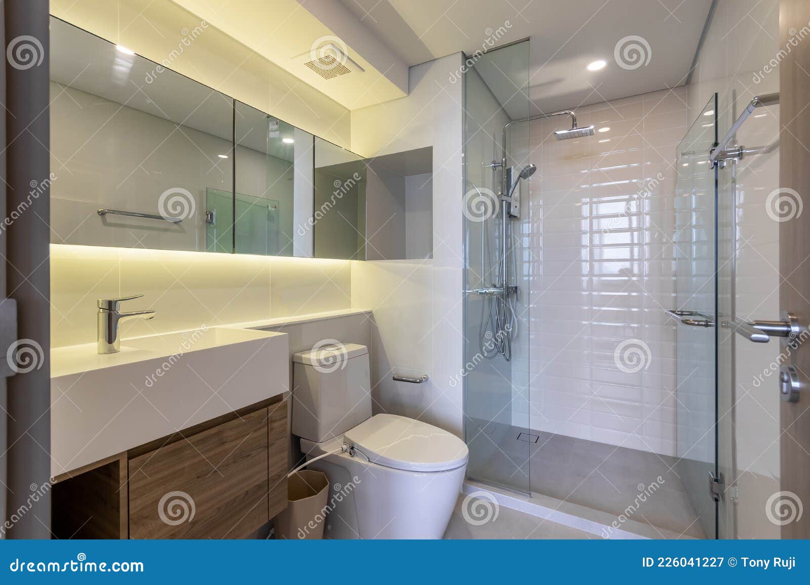 Clean and white Bathroom stock image. Image of home - 226041227