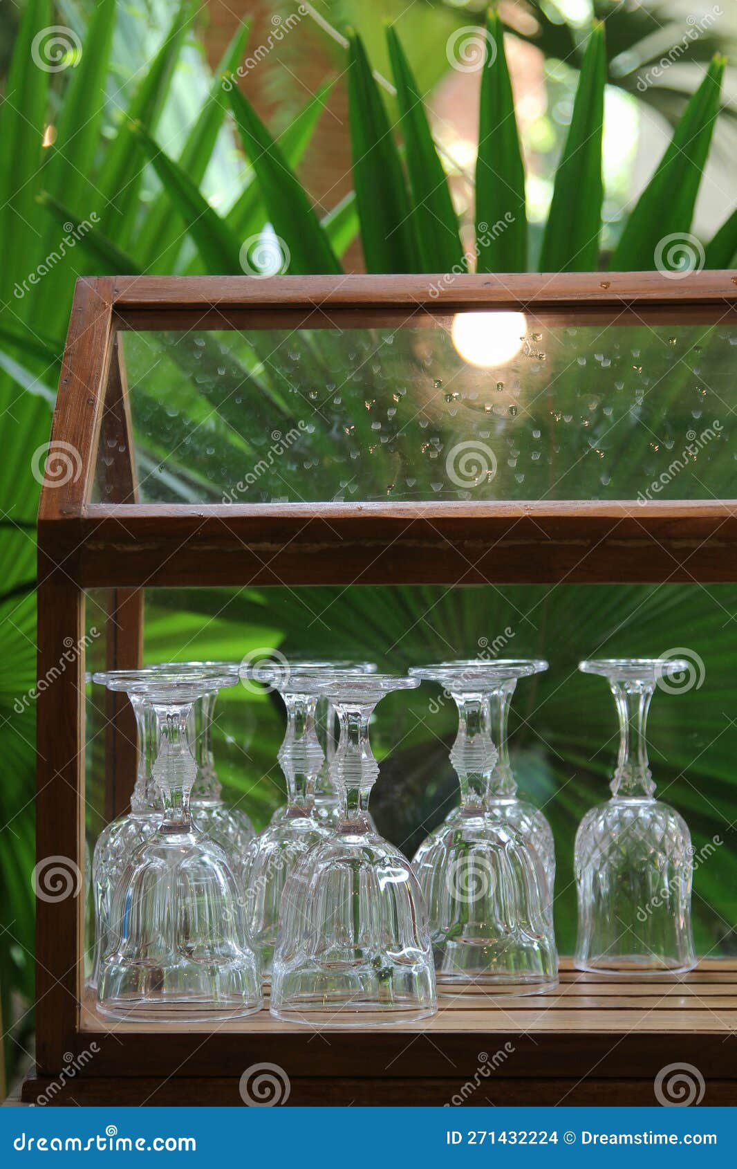 Wine Glasses in the Glass Stock Photo Image of kitchen, green 271432224