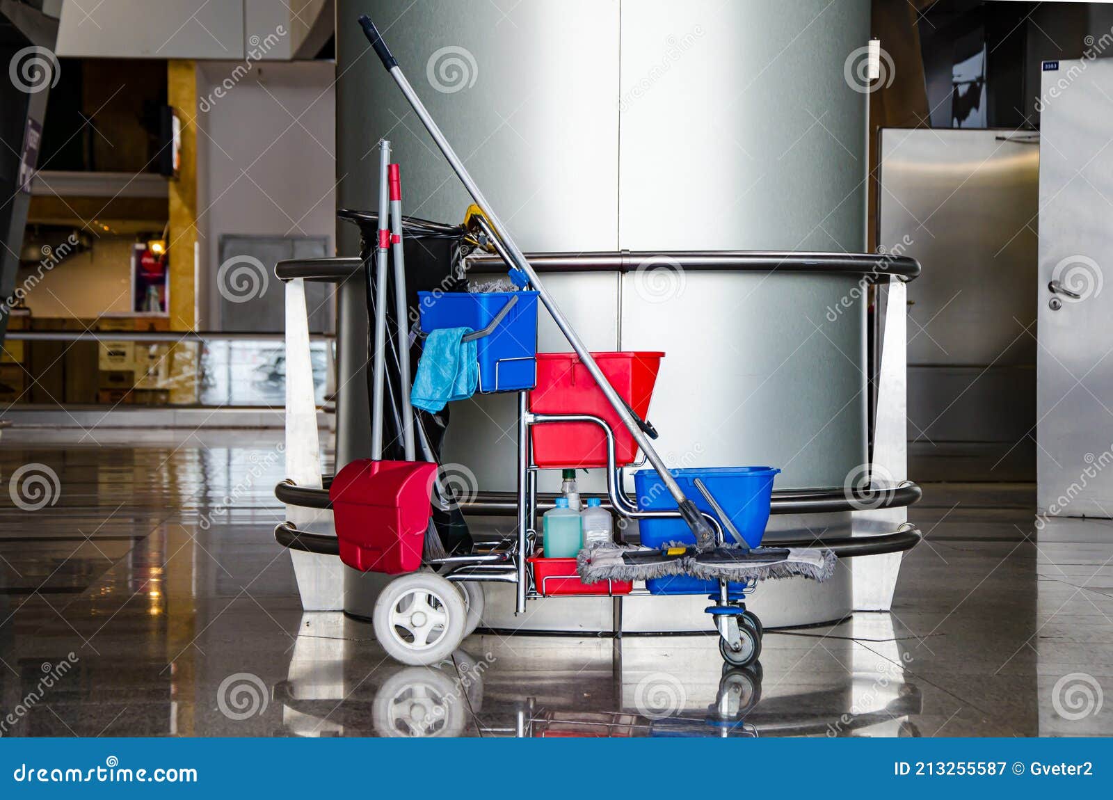 Cleaner Cart in a Public Place. Mobile Cart with Cleaning Products Stock  Image - Image of cleaners, hall: 213255587, Buckets For Cleaning 