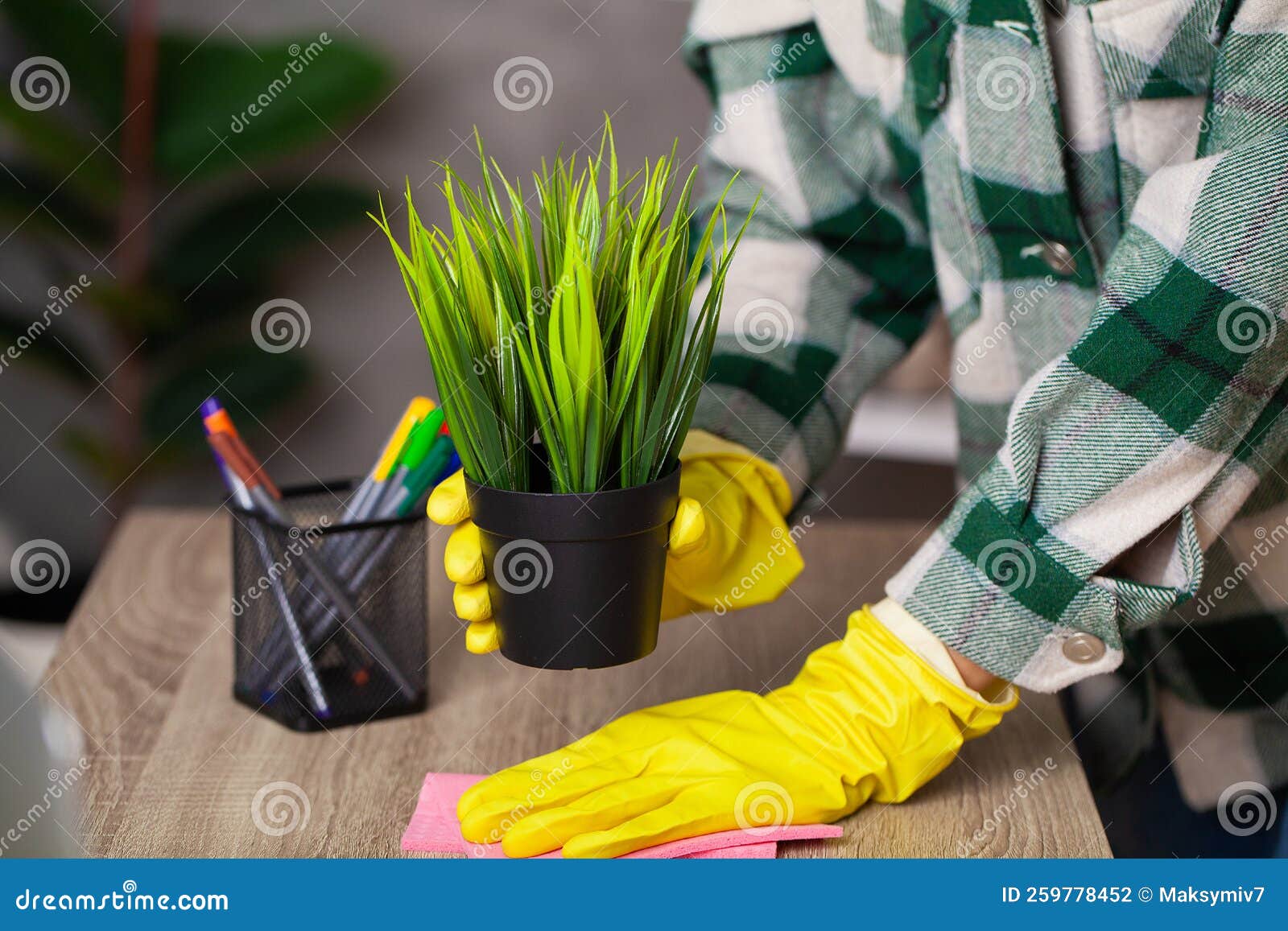 Cleaner Cleaning Desk with Rag in Office Stock Photo Image of glove