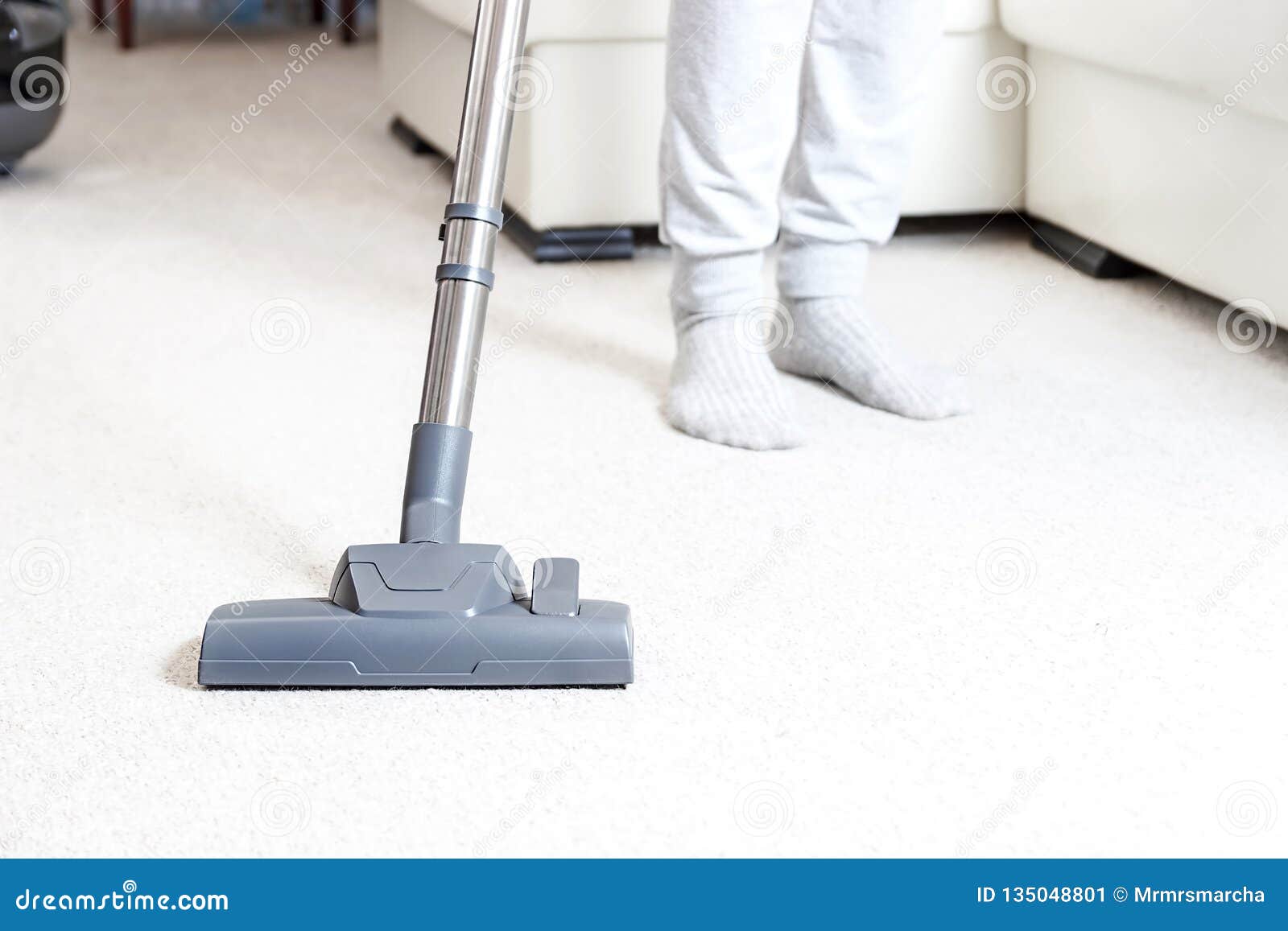 Apartment carpet cleaning cost information