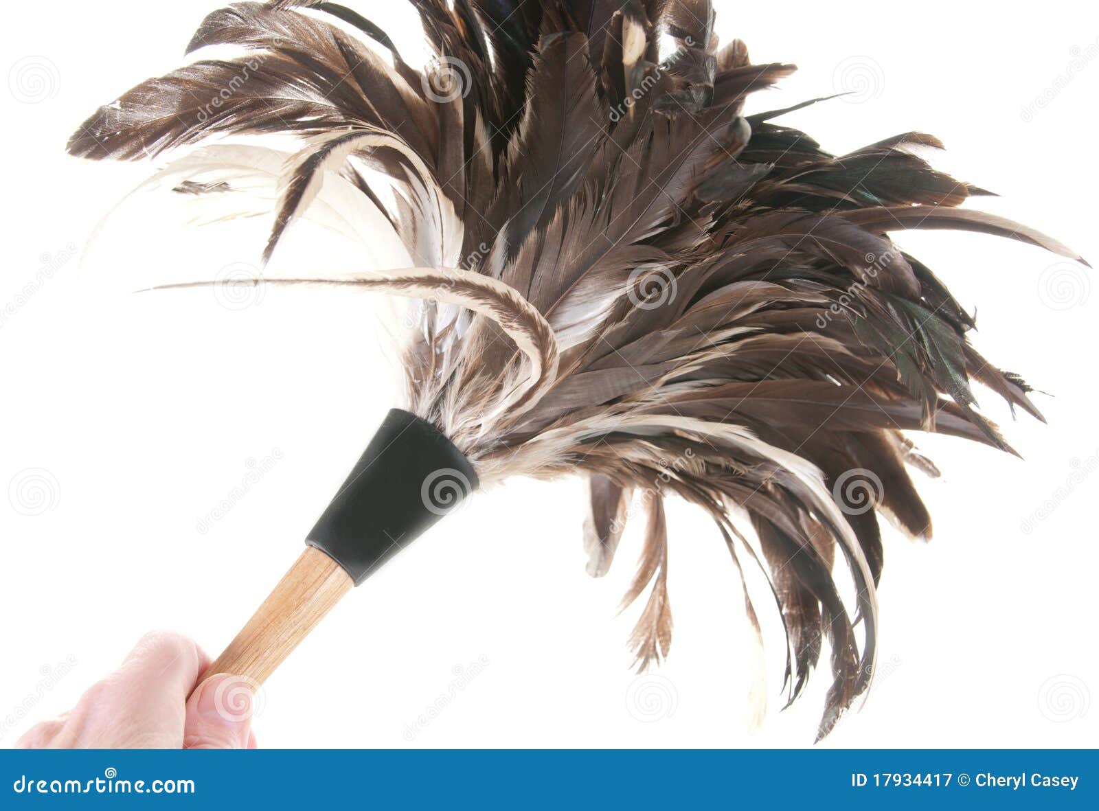 cleaning with feather duster