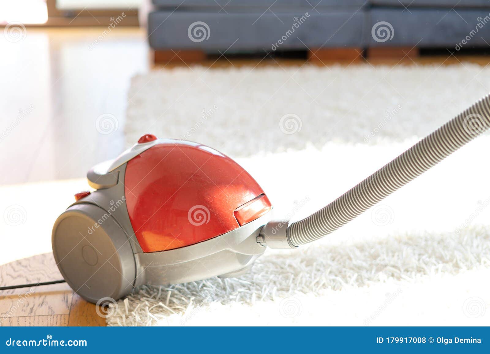 Cleaning Floor and Carpet with Vacuum Cleaner Stock Photo Image of