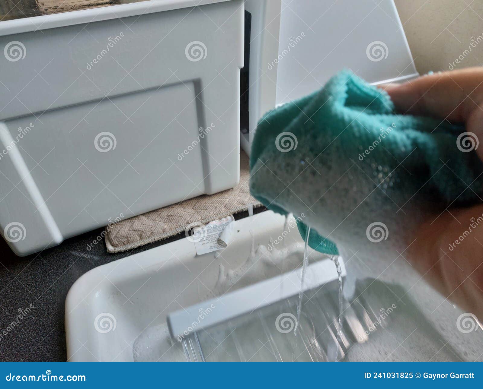 Cleaning the Fridge Freezer Stock Image Image of cleaning, chore