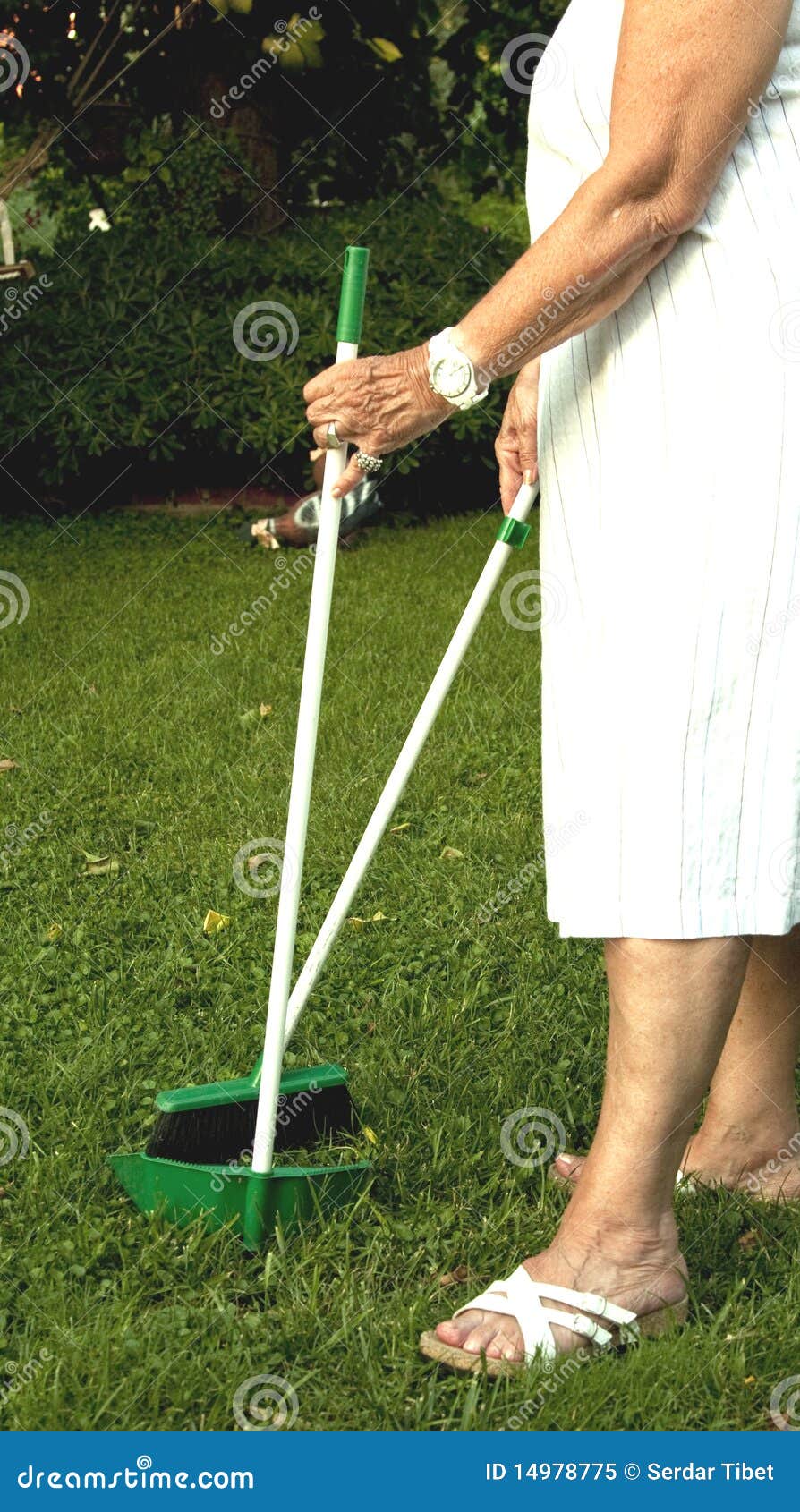 Cleaning the garden stock image. Image of grow, plants - 14978775