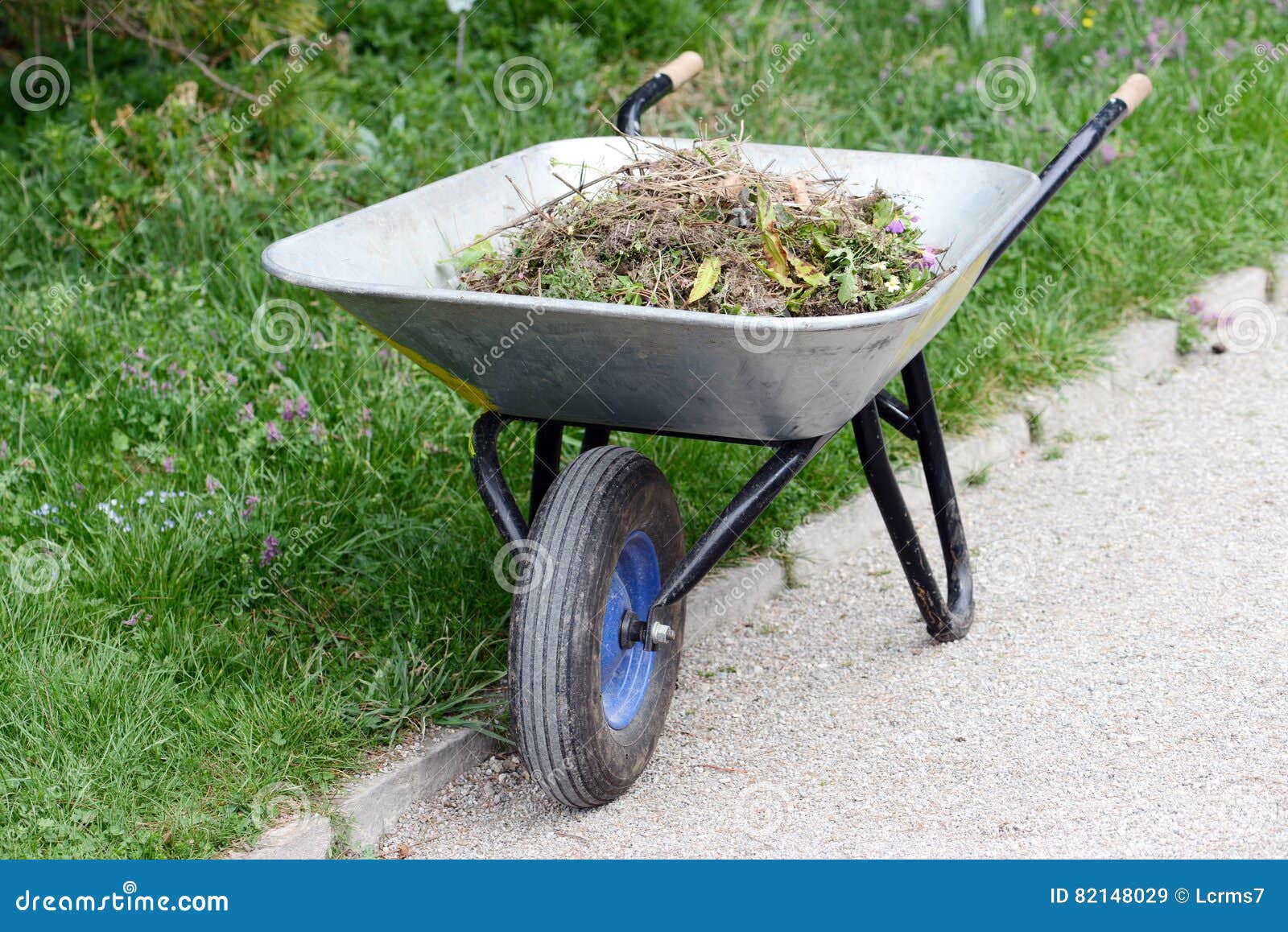 Cleaning and Gardening with Wheel Barrow Stock Image Image of