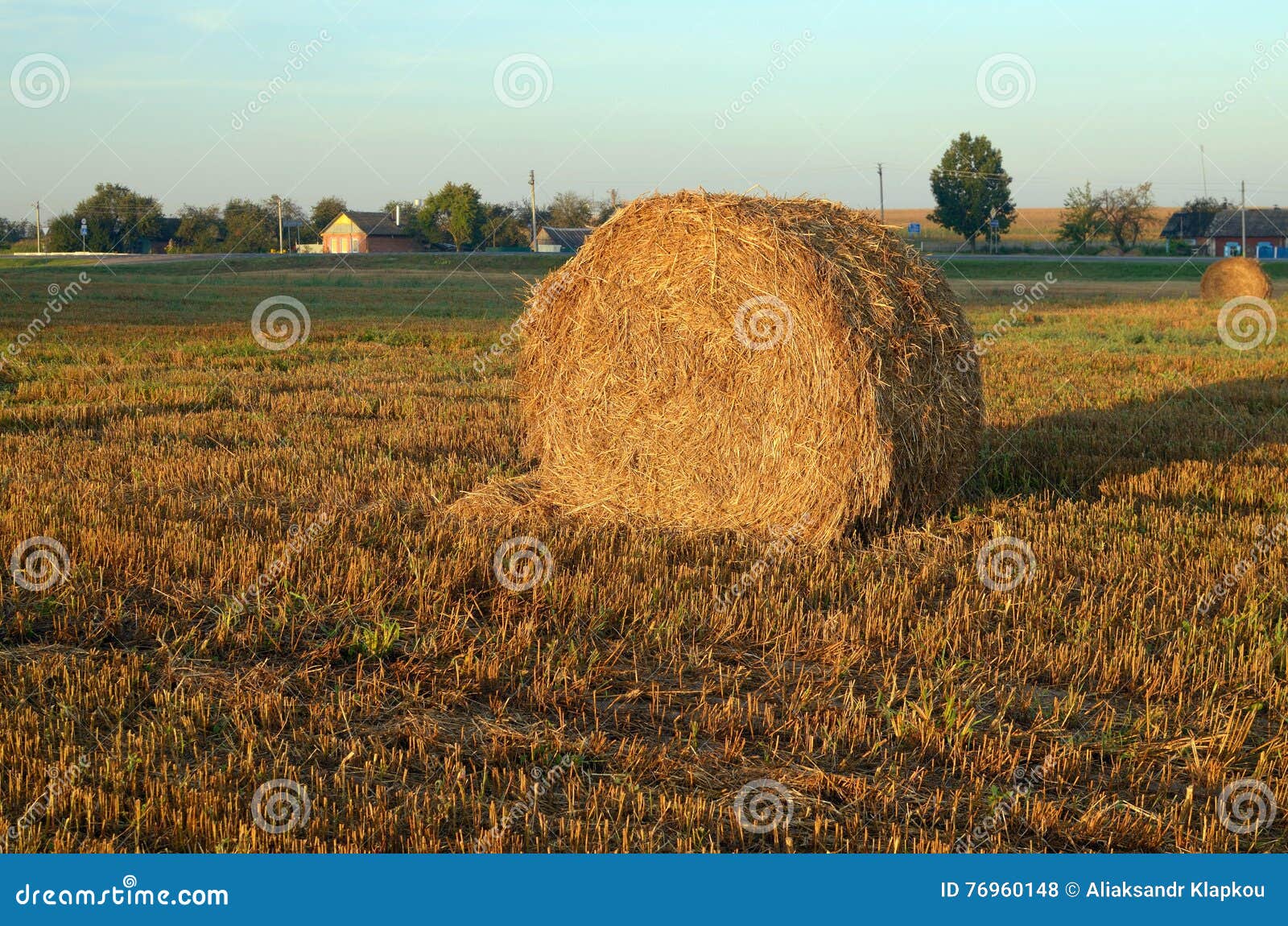 Cleaning of grain crops stock photo. Image of maid, morning 76960148