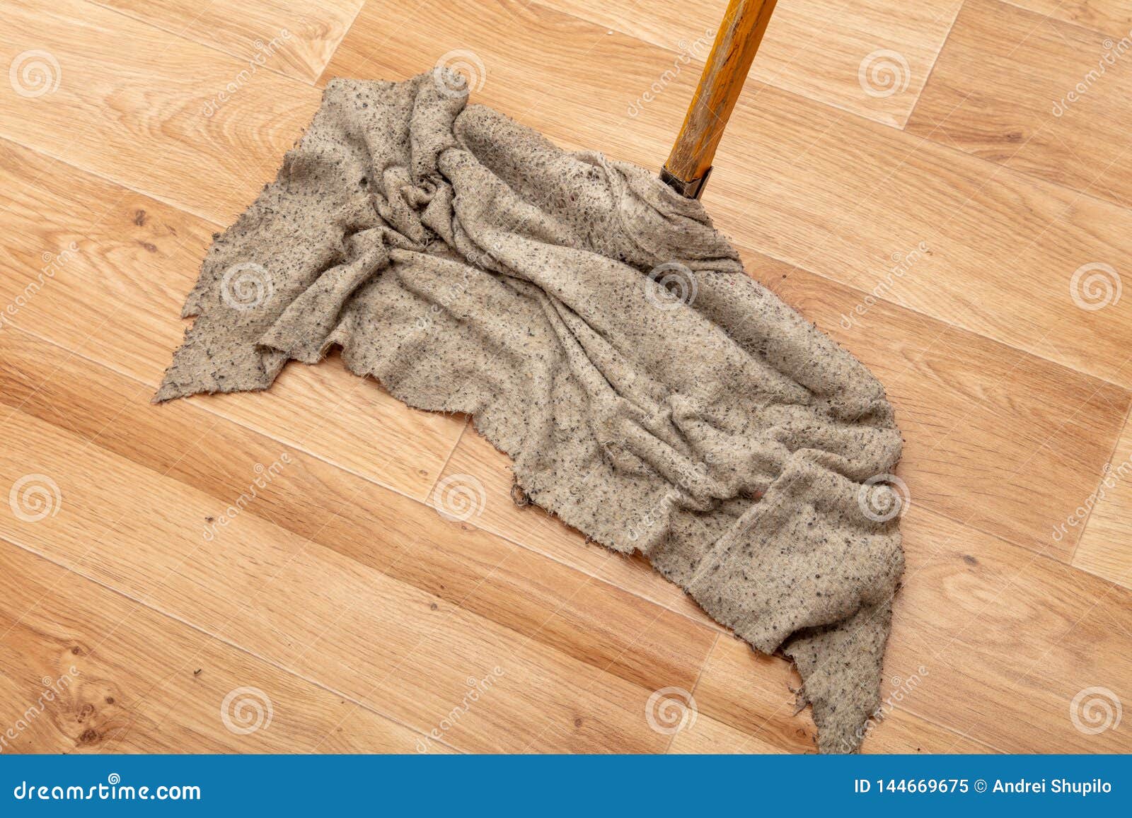 Cleaning A House With A Rag On A Mop Stock Image Image Of Cleanliness cleaning-a-house-with-a-rag-on-a-mop-stock-image-image-of-cleanliness