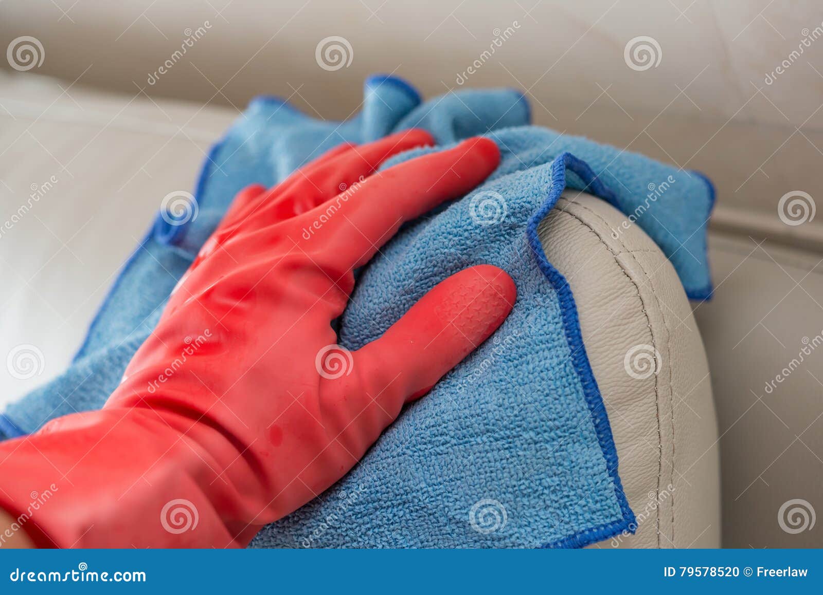 Cleaning Leather Sofa with Blue Cloth Stock Photo Image of equipment