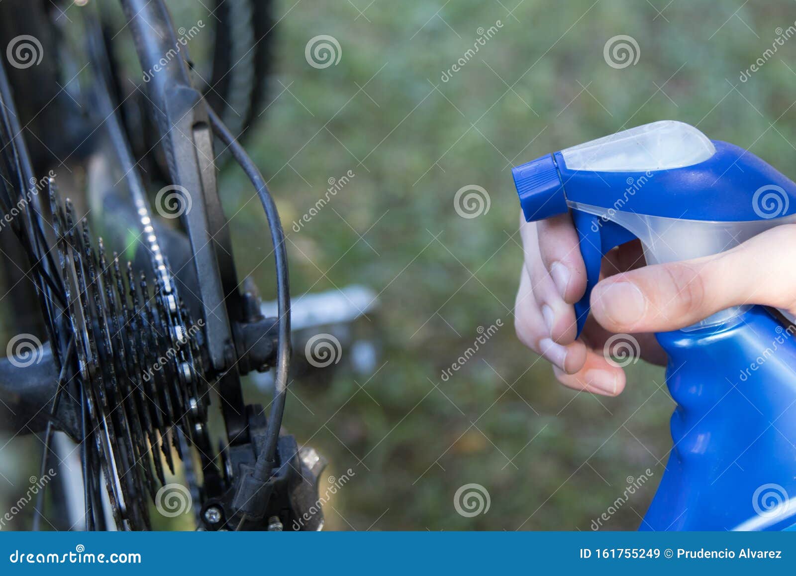 Cleaning and Maintenance of the Bicycle Stock Image Image of