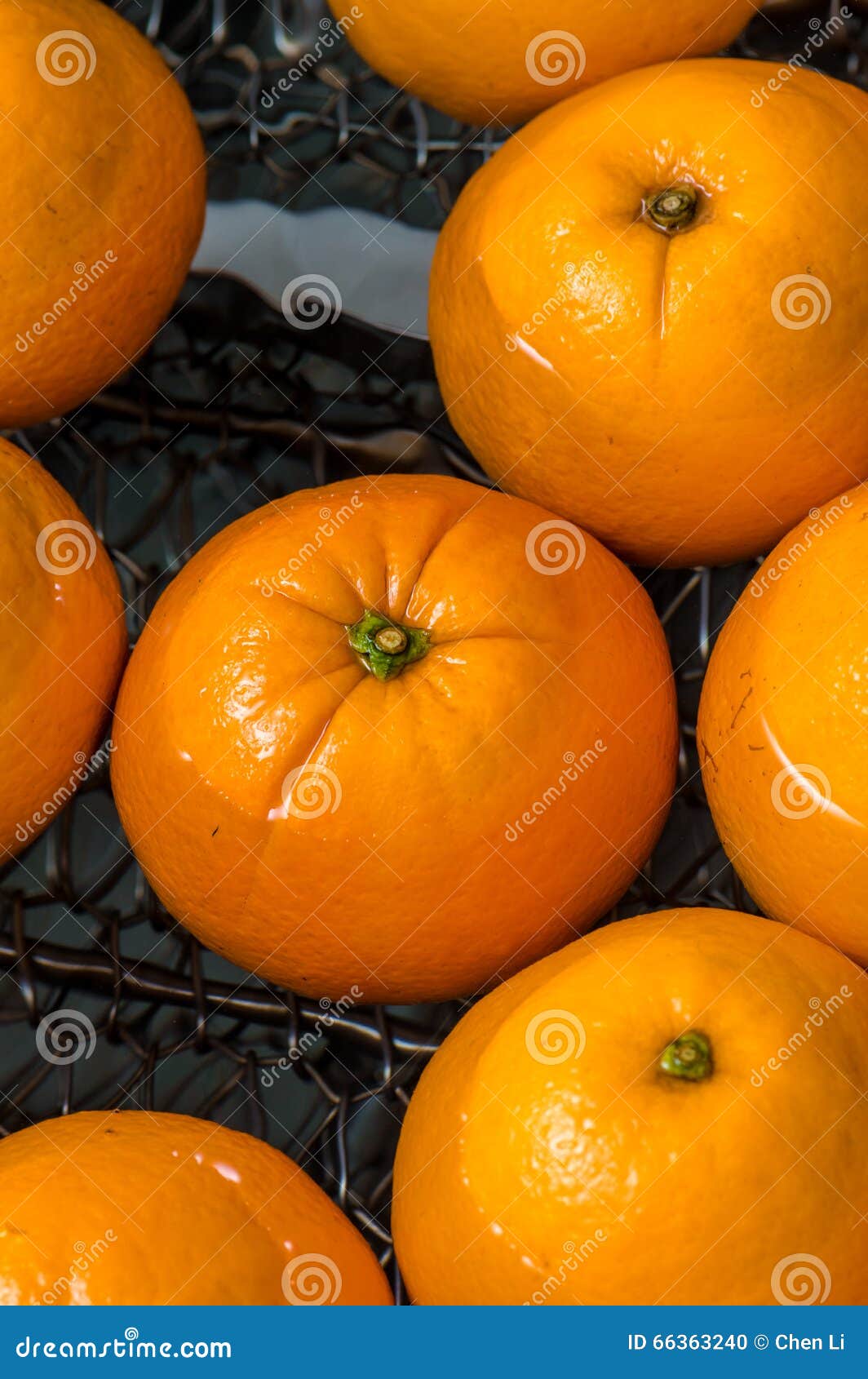 The Cleaning Process of Oranges Stock Photo Image of juice, lifes 66363240