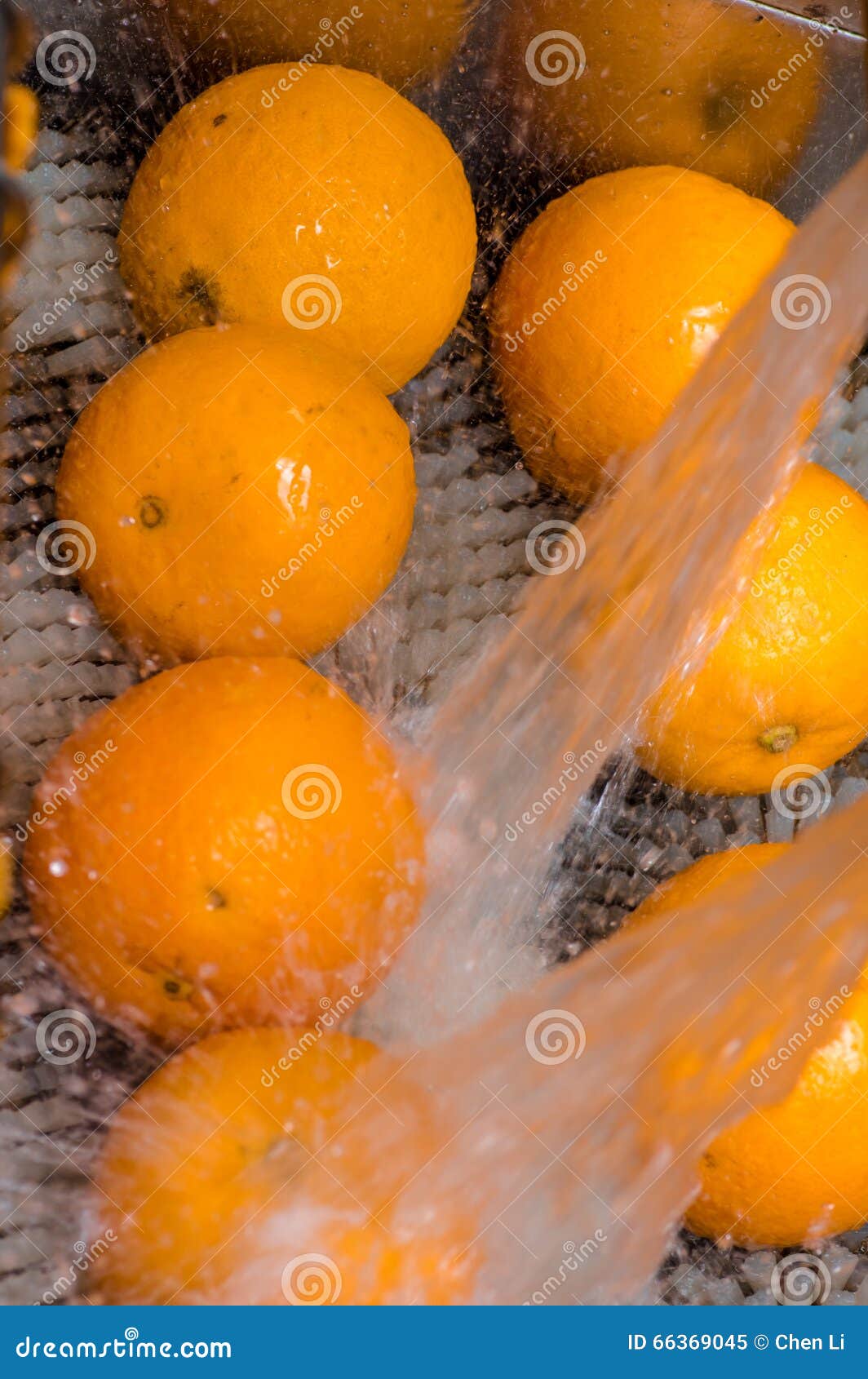 The Cleaning Process of Oranges Stock Image Image of fresh, machinery 66369045