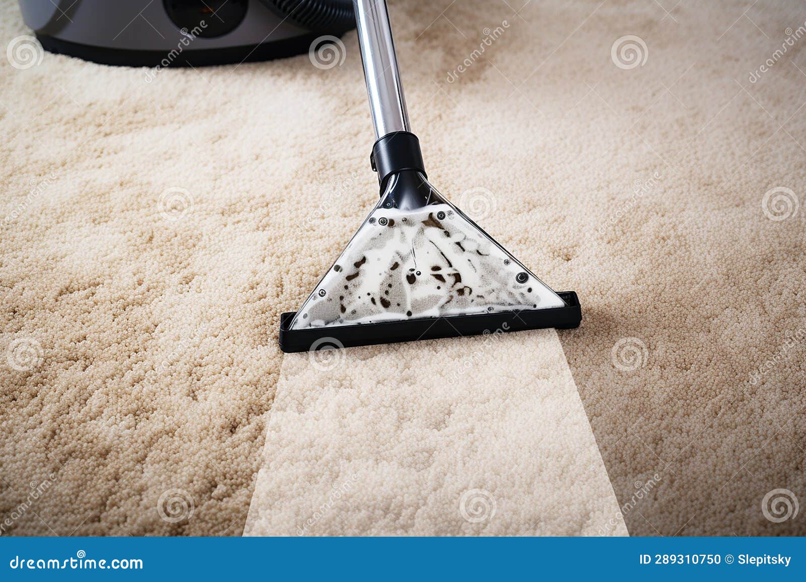 Cleaning Service Using Vacuum Cleaner Stock Photo Image of work