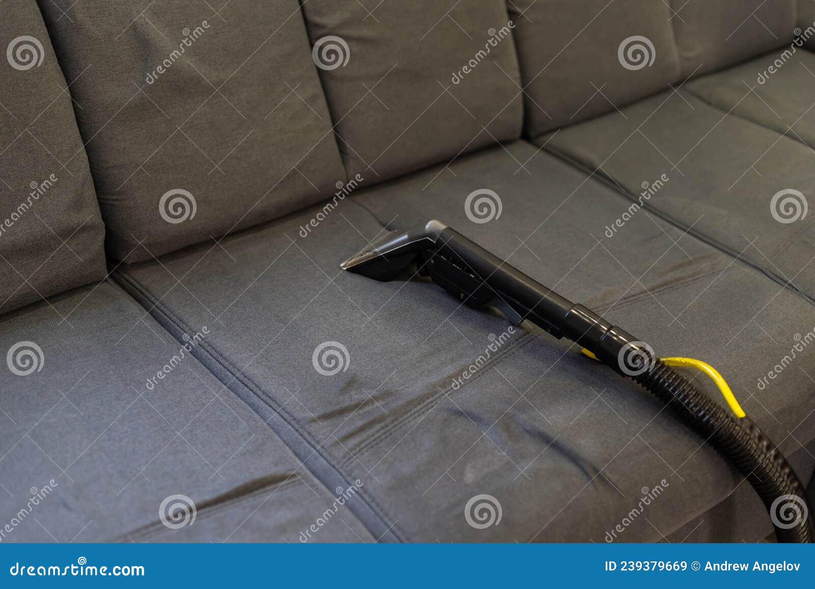 Cleaning Sofa with Vacuum Cleaner Stock Image Image of profession