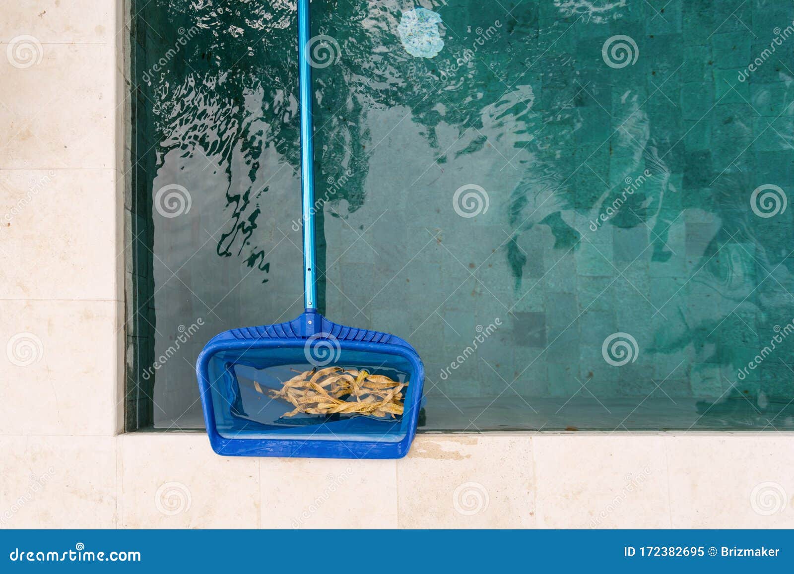 clean leaves out of pool