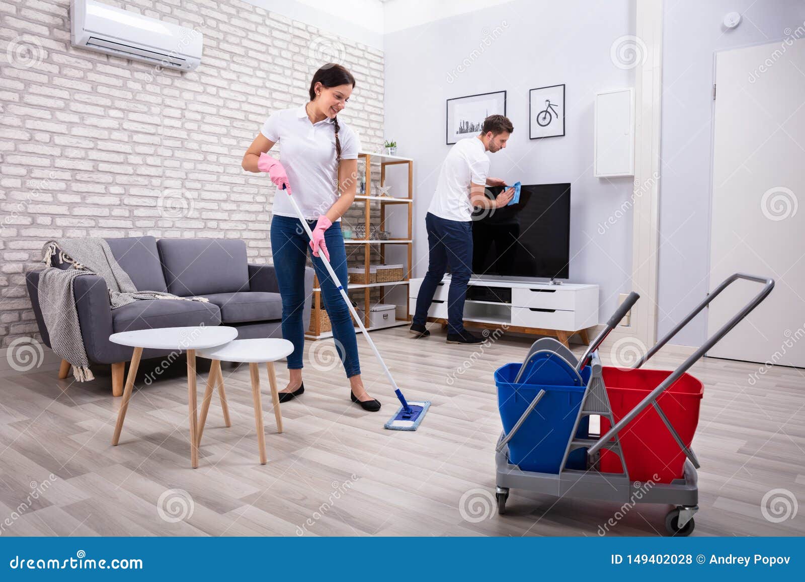 Cleaning Television and Floor Stock Photo Image of maid, cleaner