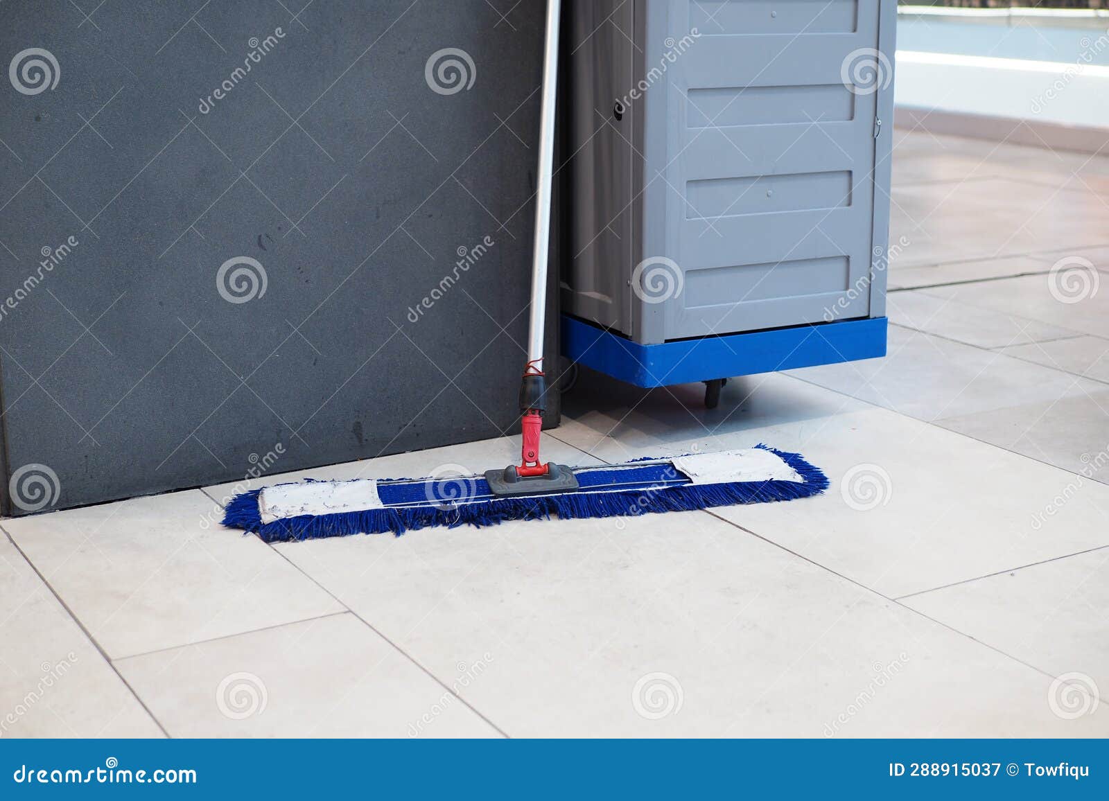 Cleaning Tiles Floor with Mop Stock Image Image of floor, home 288915037