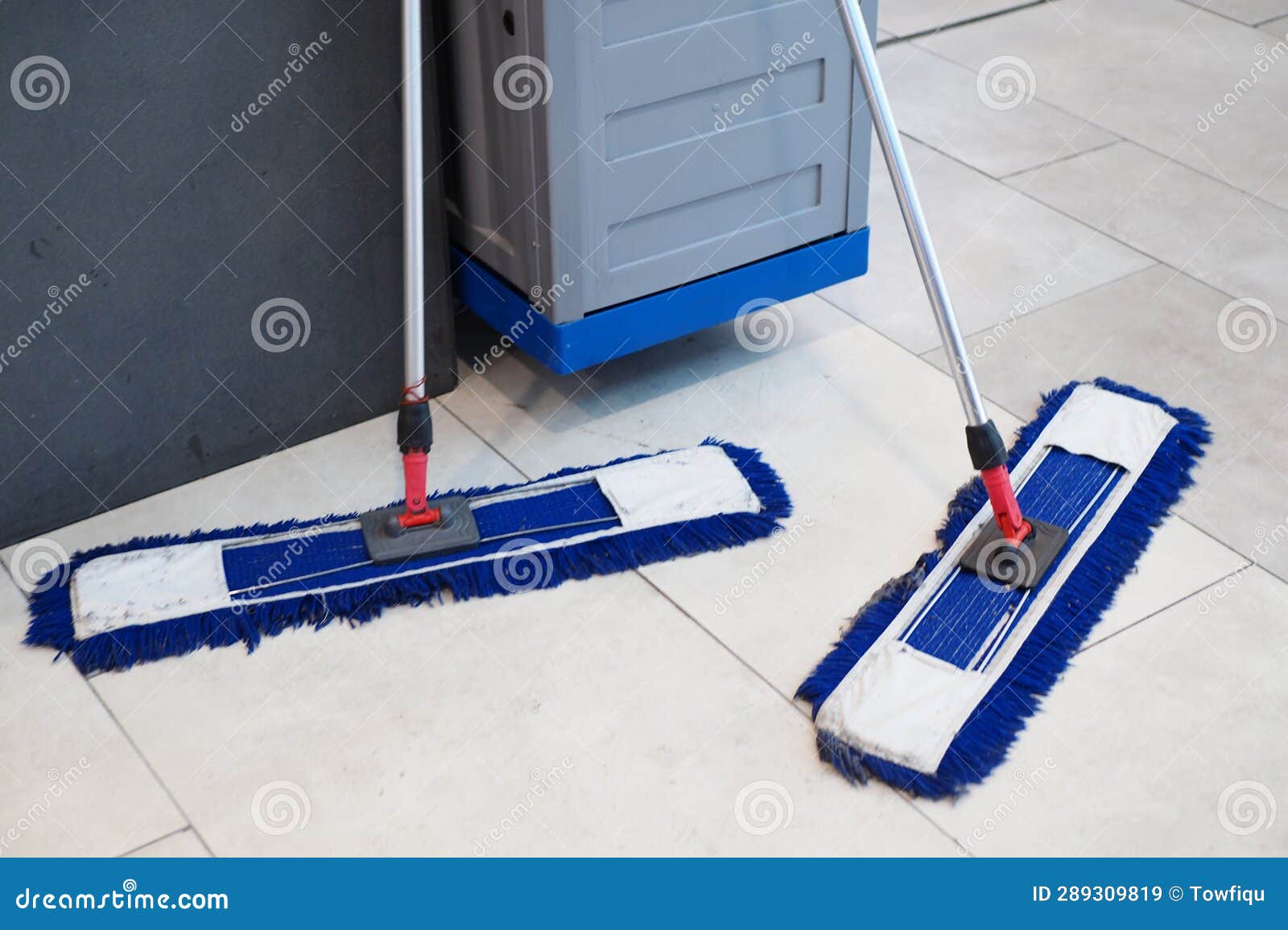 Cleaning Tiles Floor with Mop Stock Image Image of householder, clean