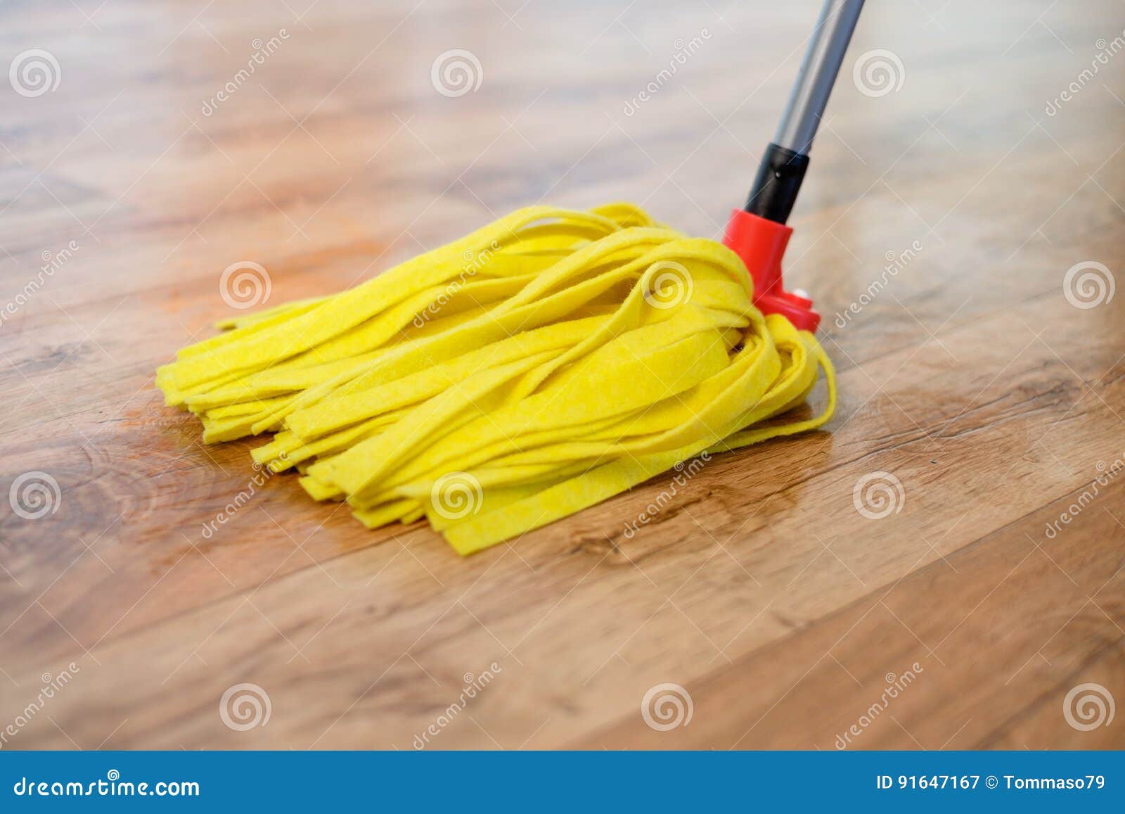 Cleaning Tools on Parquet Floor Stock Image Image of flooring, liquid