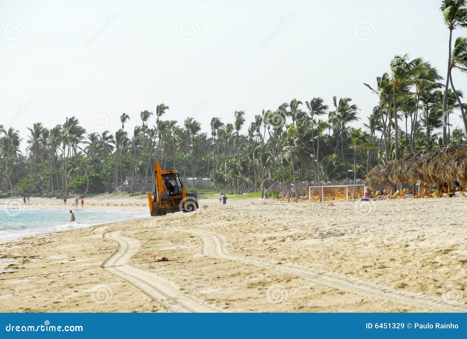 Cleaning of tropical beach. Careibas in tropical beach, where even the man clean the algae and corals of preia all manhÃ£ns with the help of machines