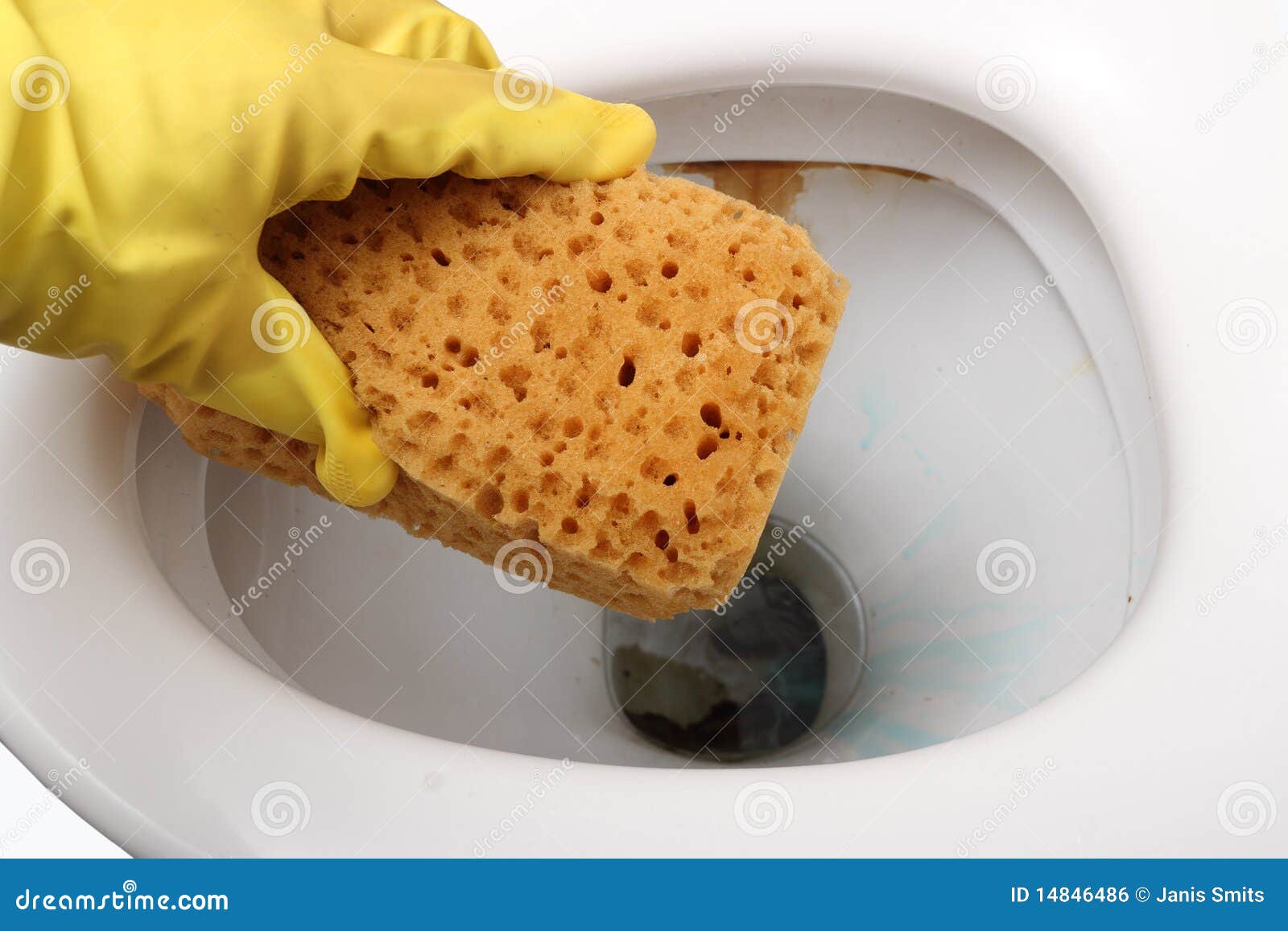 Cleaning watercloset. stock photo. Image of equipment 14846486