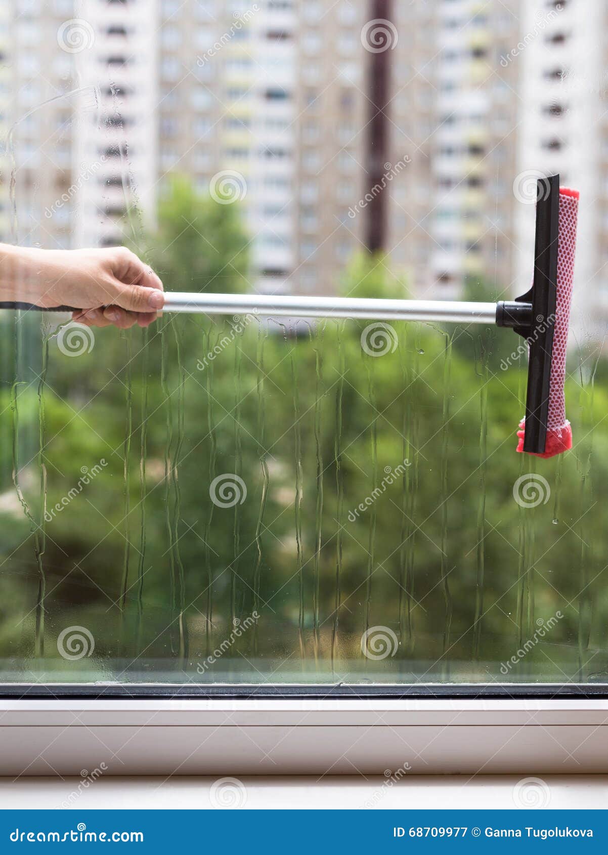 Cleaning Windows Picture in Summer Day Stock Image Image of house