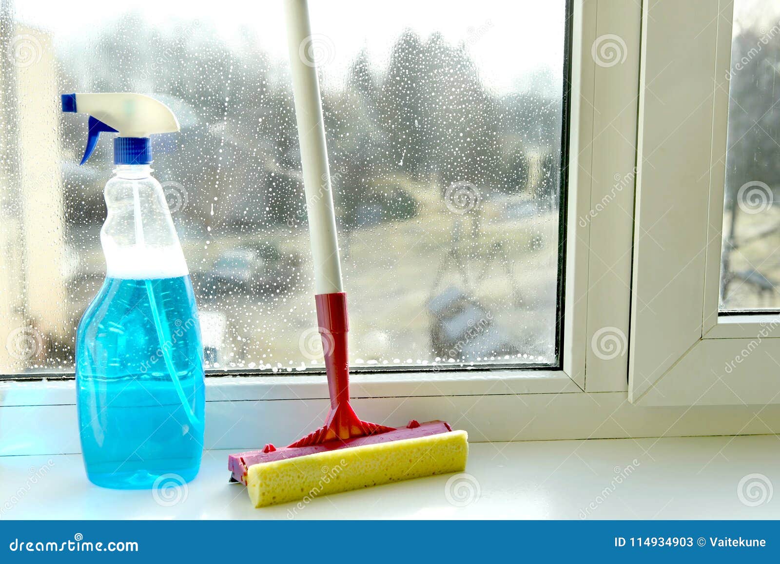 Glass Squeegee And Bottle Of Window Cleaner Stock Image
