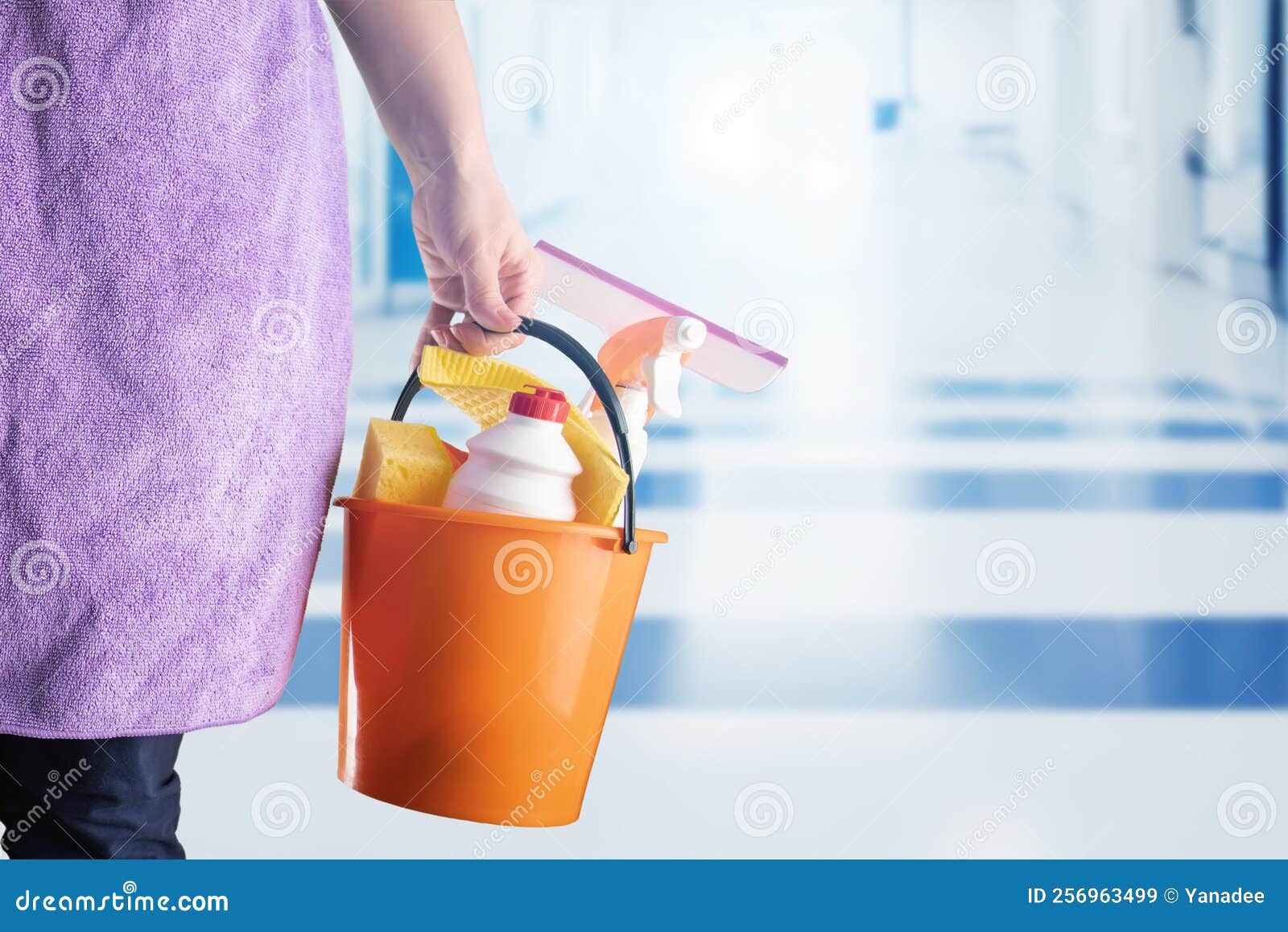 Cleaning Woman with Detergents Inside the Hall Stock Image Image of